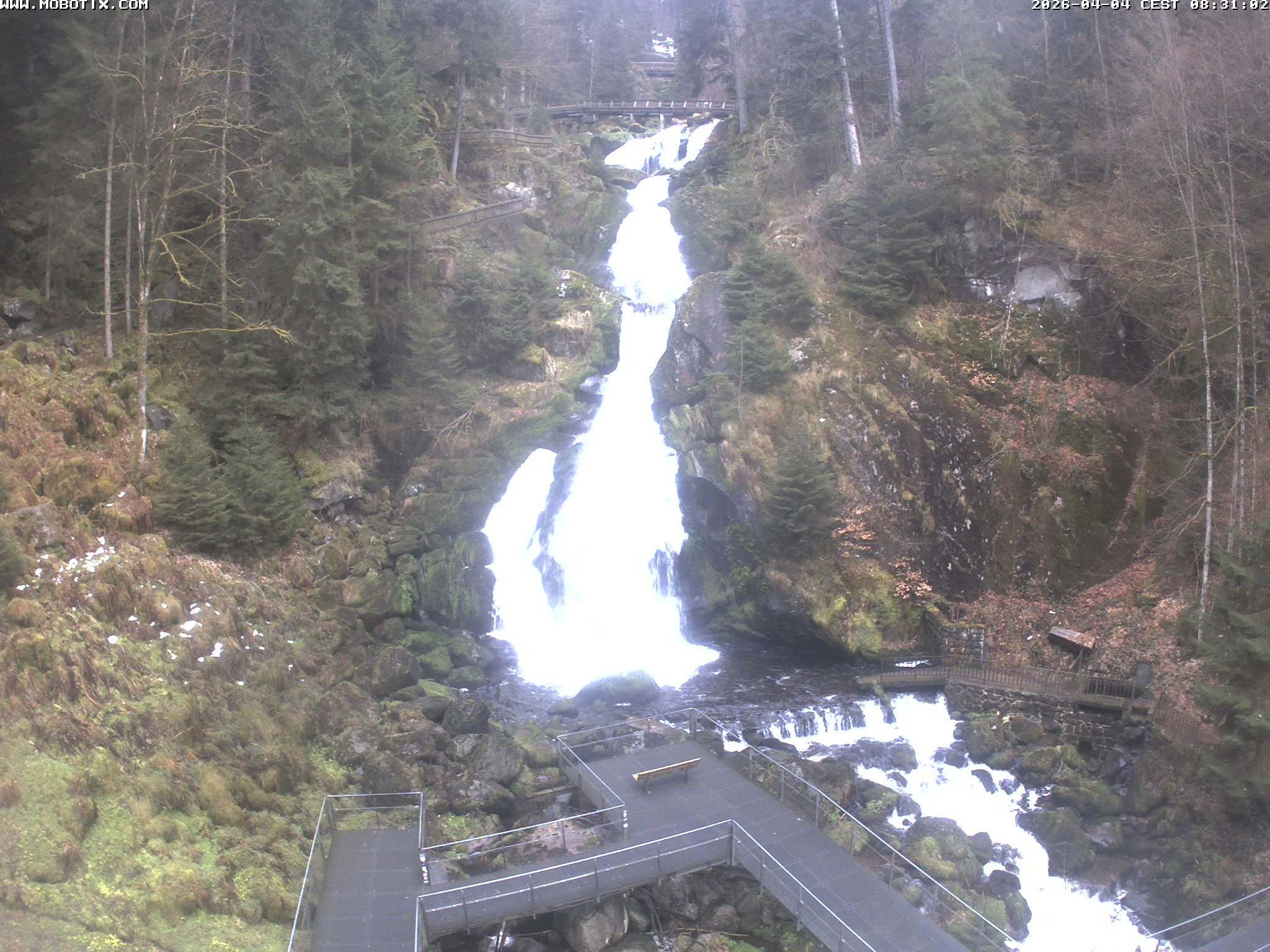 Archiv Foto Webcam Triberg Wasserfälle im Schwarzwald