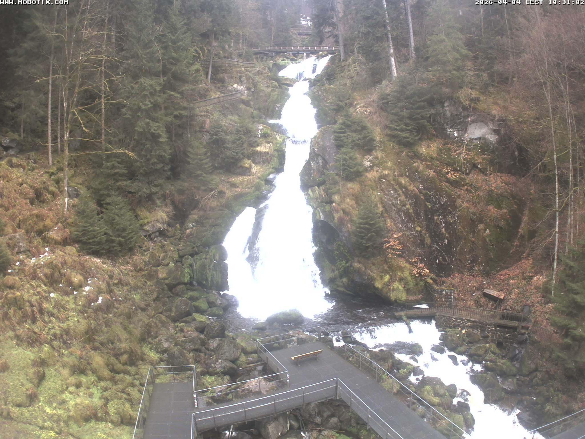 Archiv Foto Webcam Triberg Wasserfälle im Schwarzwald