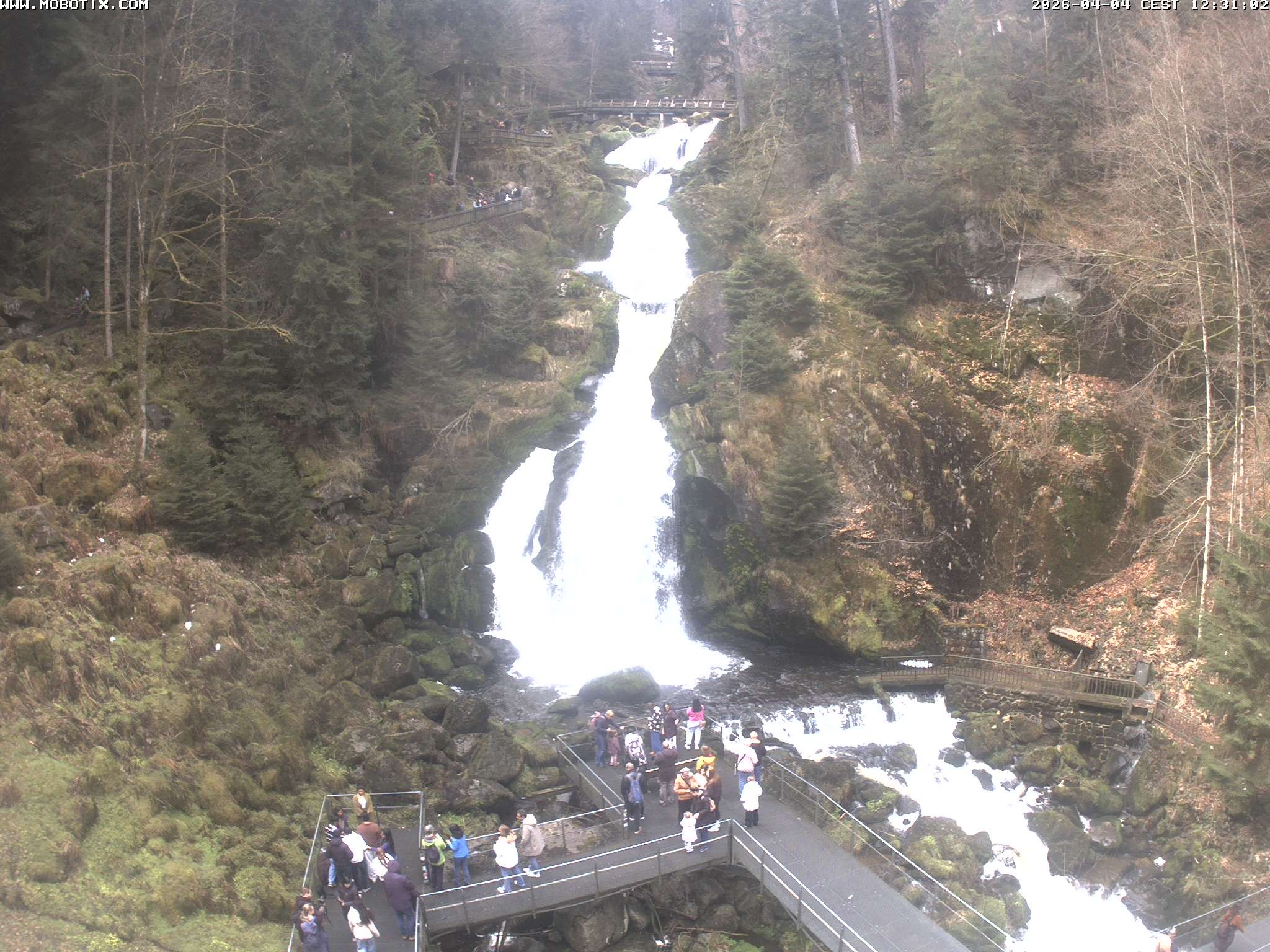 Archiv Foto Webcam Triberg Wasserfälle im Schwarzwald