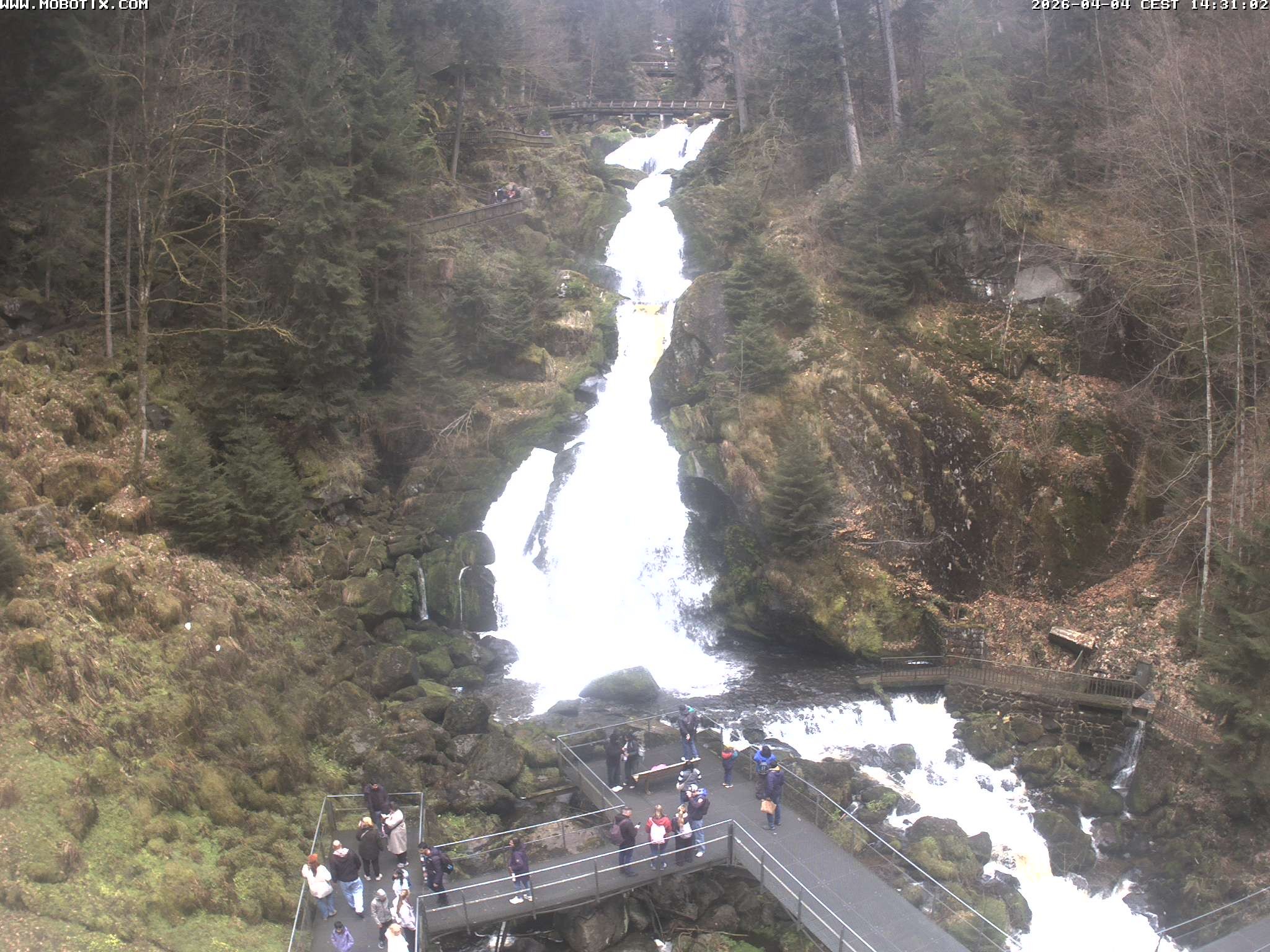 Archiv Foto Webcam Triberg Wasserfälle im Schwarzwald