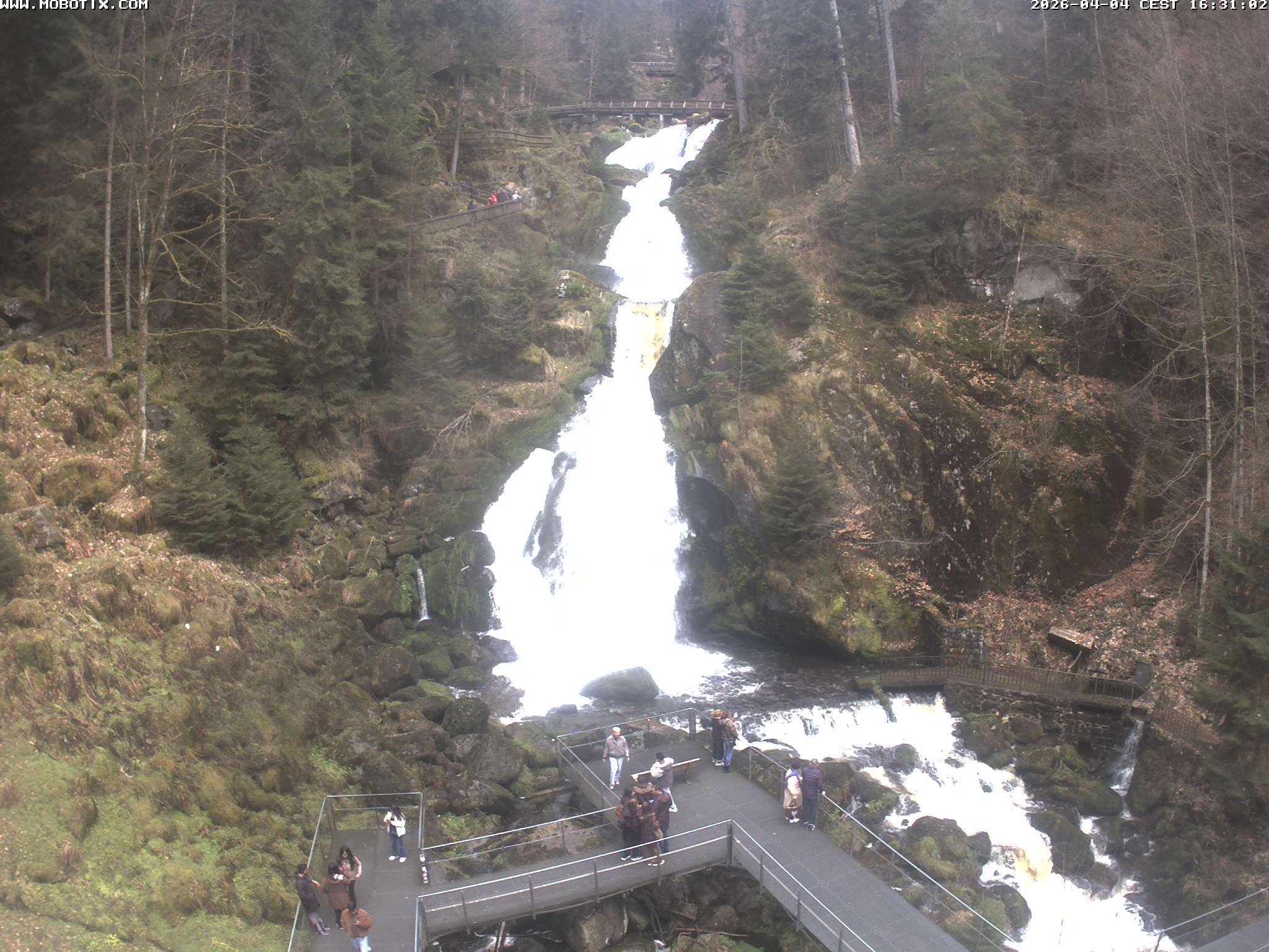 Archiv Foto Webcam Triberg Wasserfälle im Schwarzwald