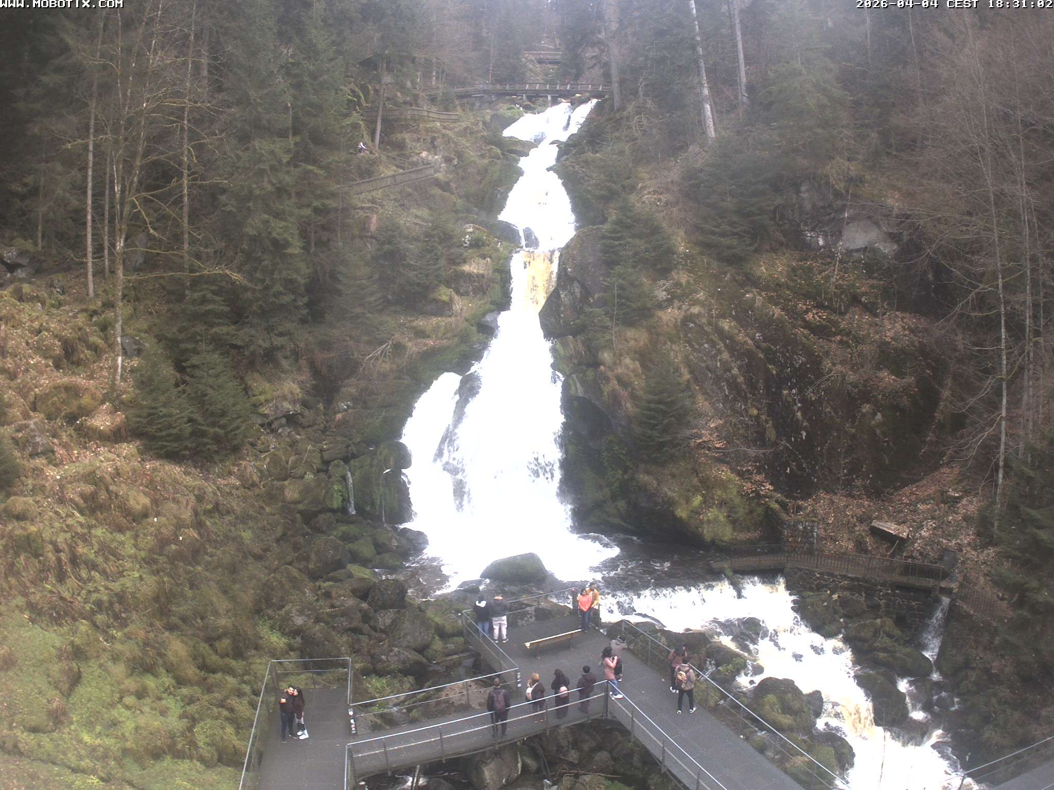 Archiv Foto Webcam Triberg Wasserfälle im Schwarzwald
