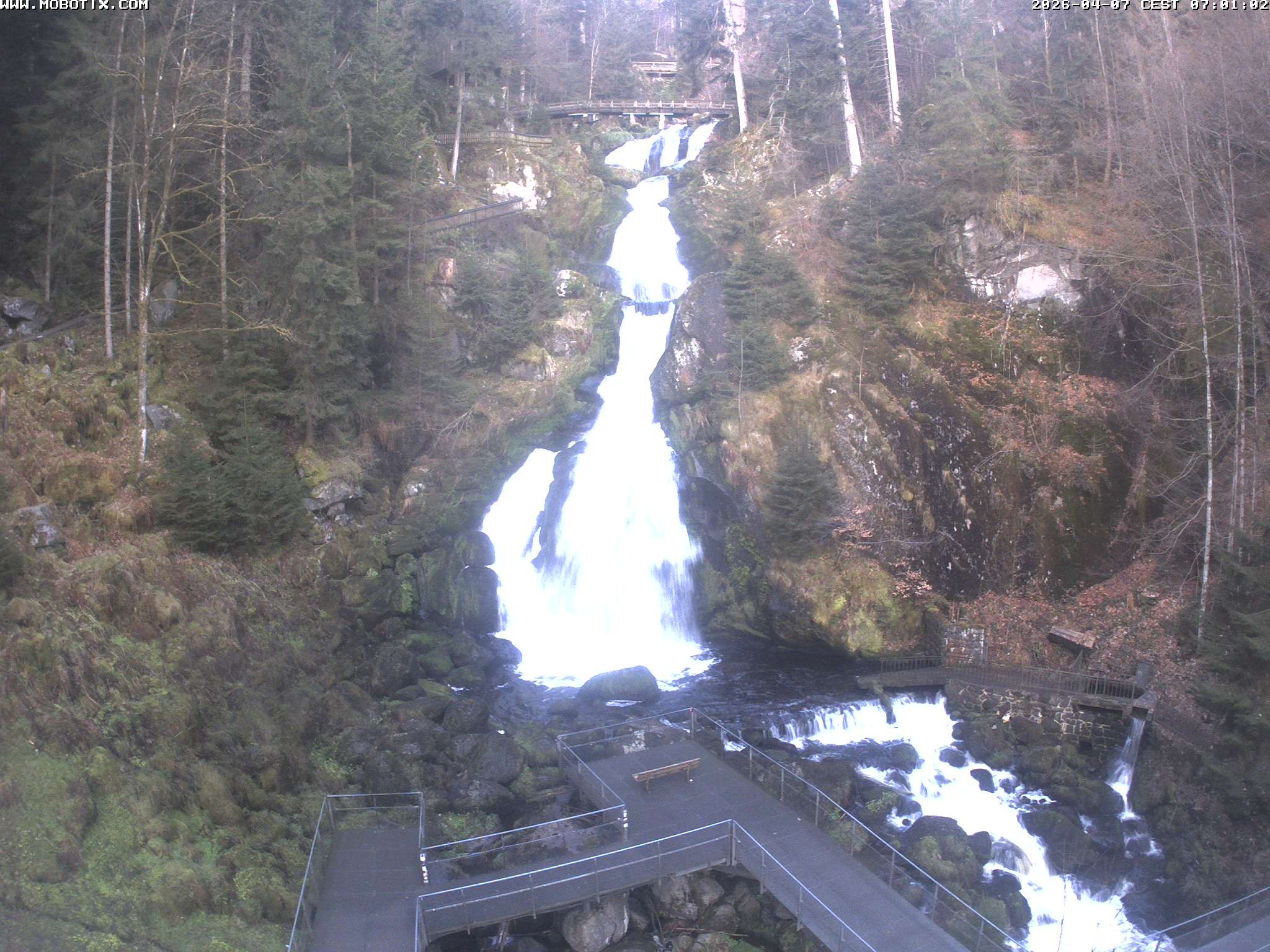 Archived image Webcam Triberg (Black Forest): Waterfalls