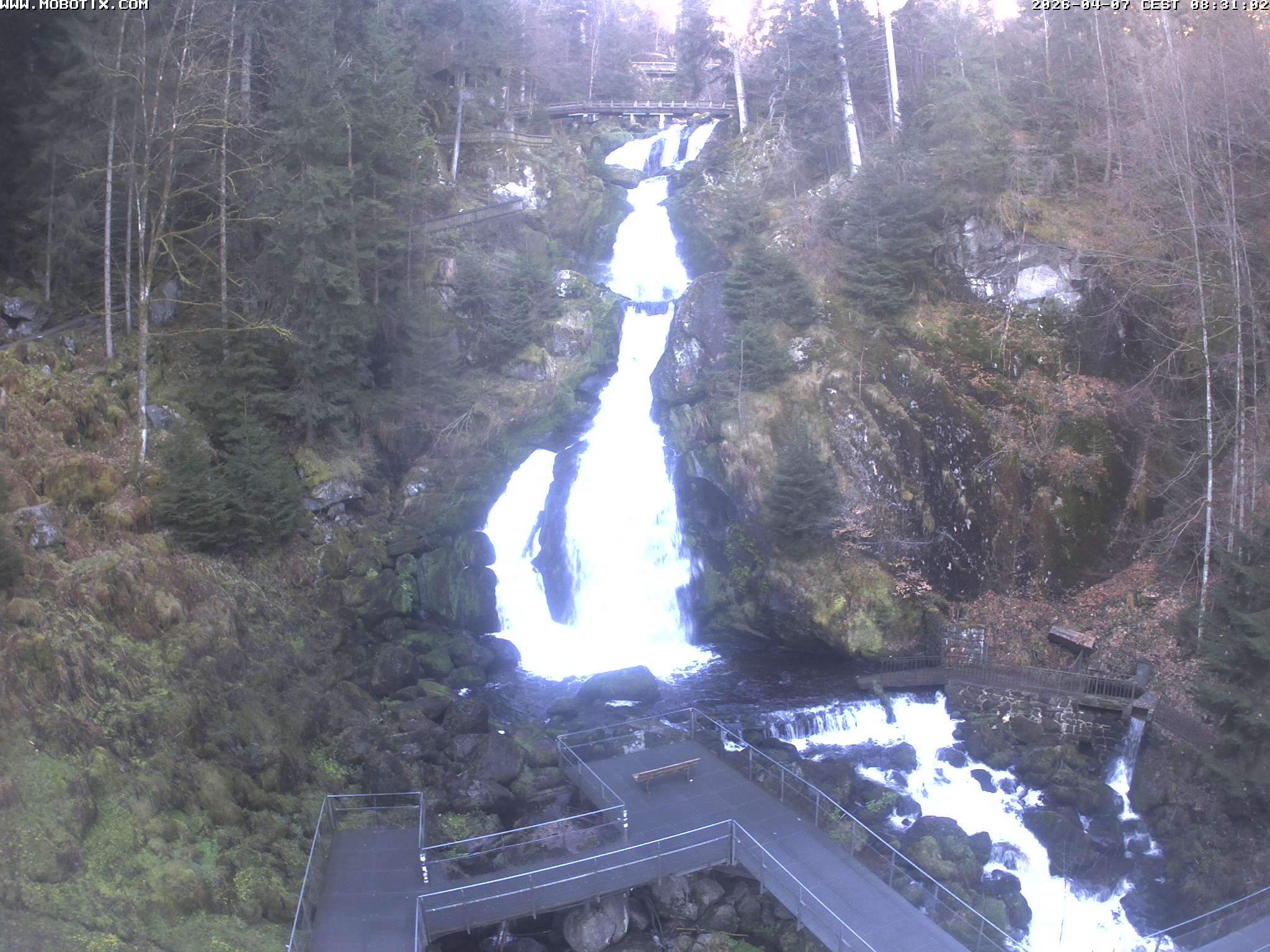 Archived image Webcam Triberg (Black Forest): Waterfalls
