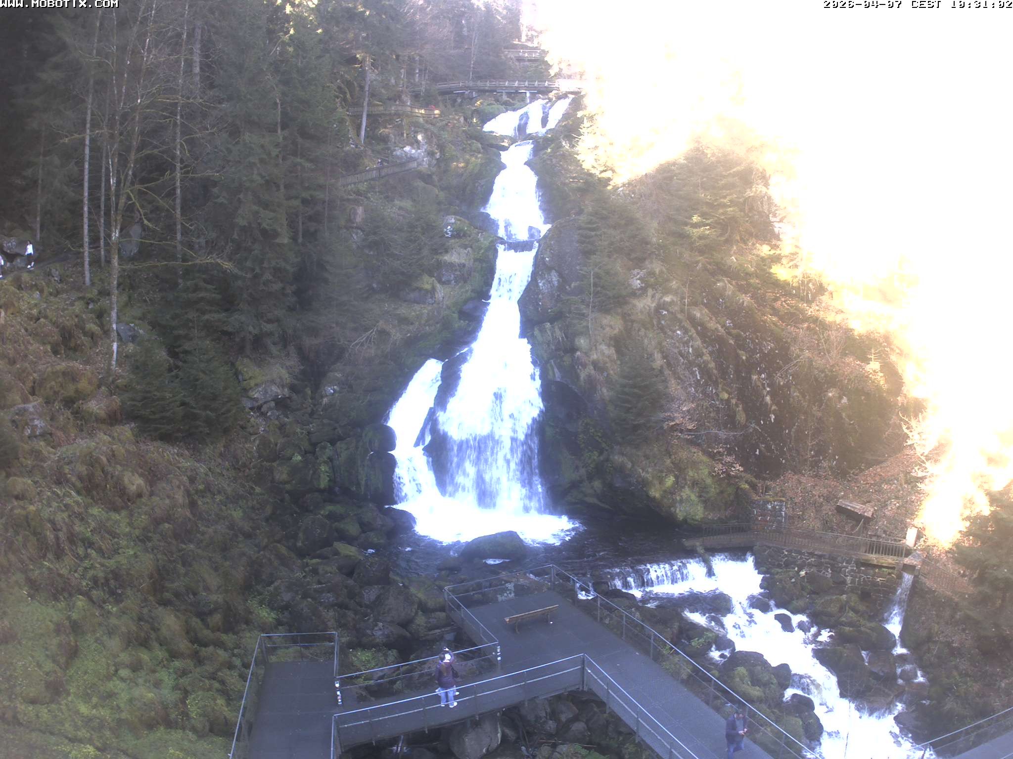 Archived image Webcam Triberg (Black Forest): Waterfalls