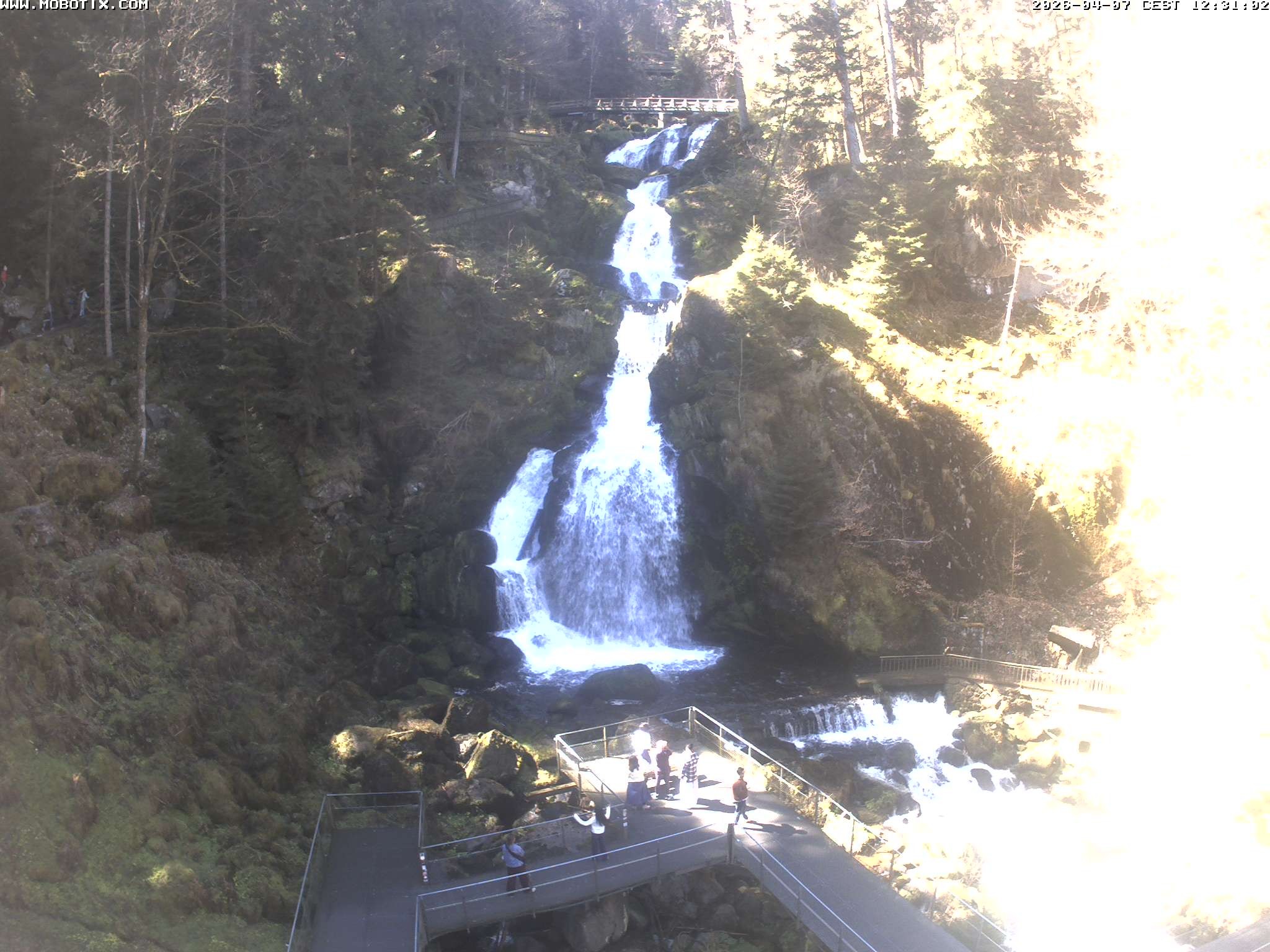 Archived image Webcam Triberg (Black Forest): Waterfalls