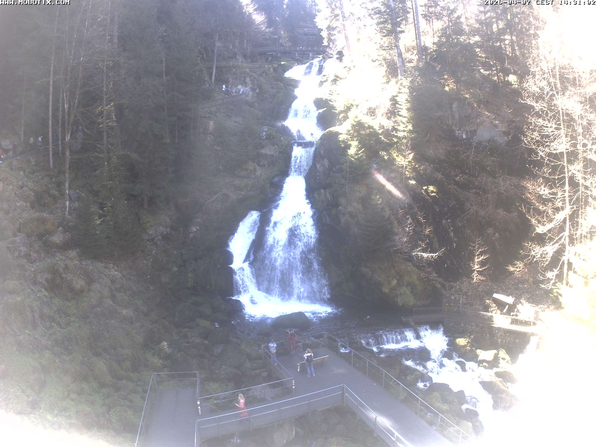 Archived image Webcam Triberg (Black Forest): Waterfalls