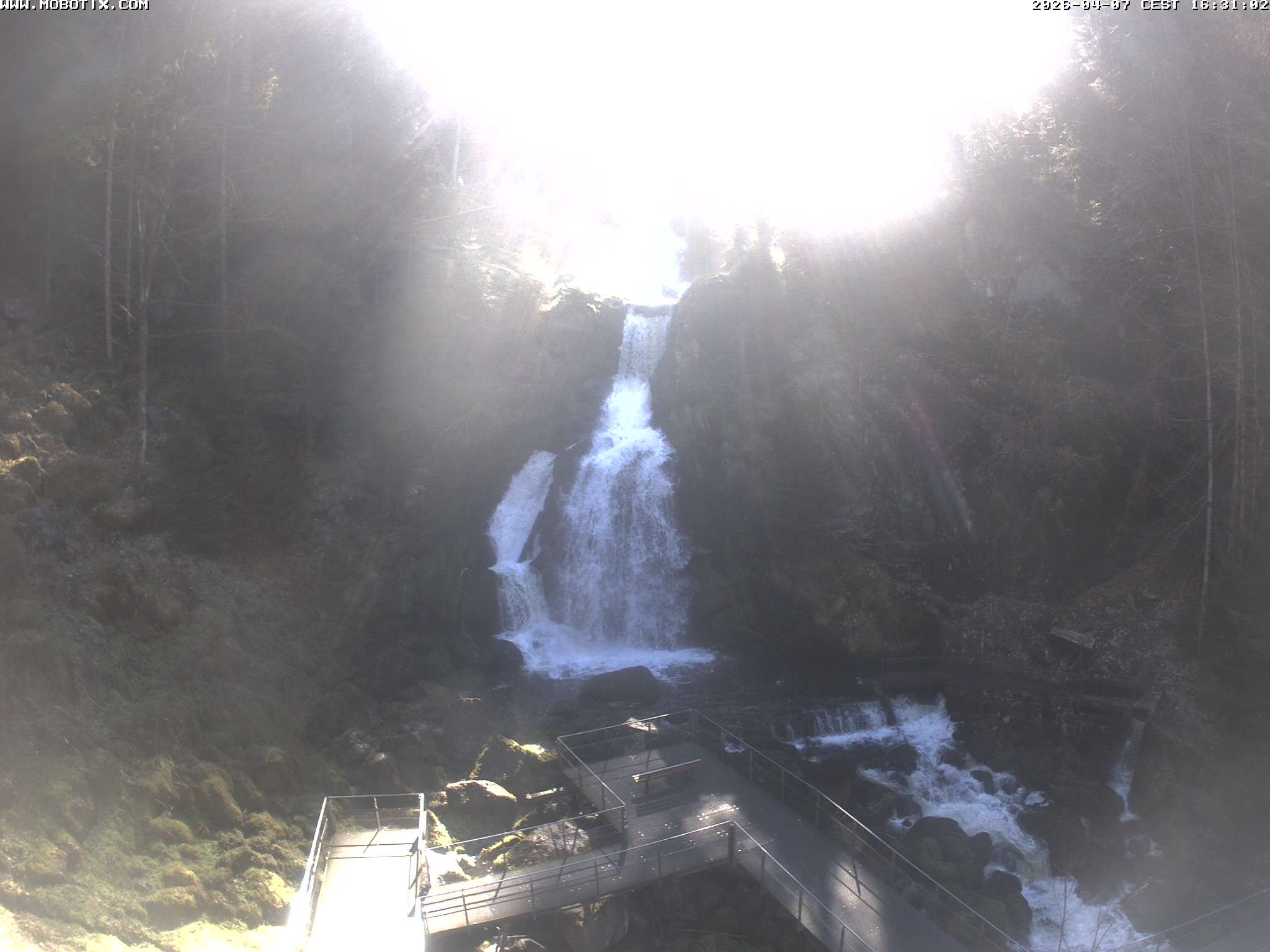 Archived image Webcam Triberg (Black Forest): Waterfalls