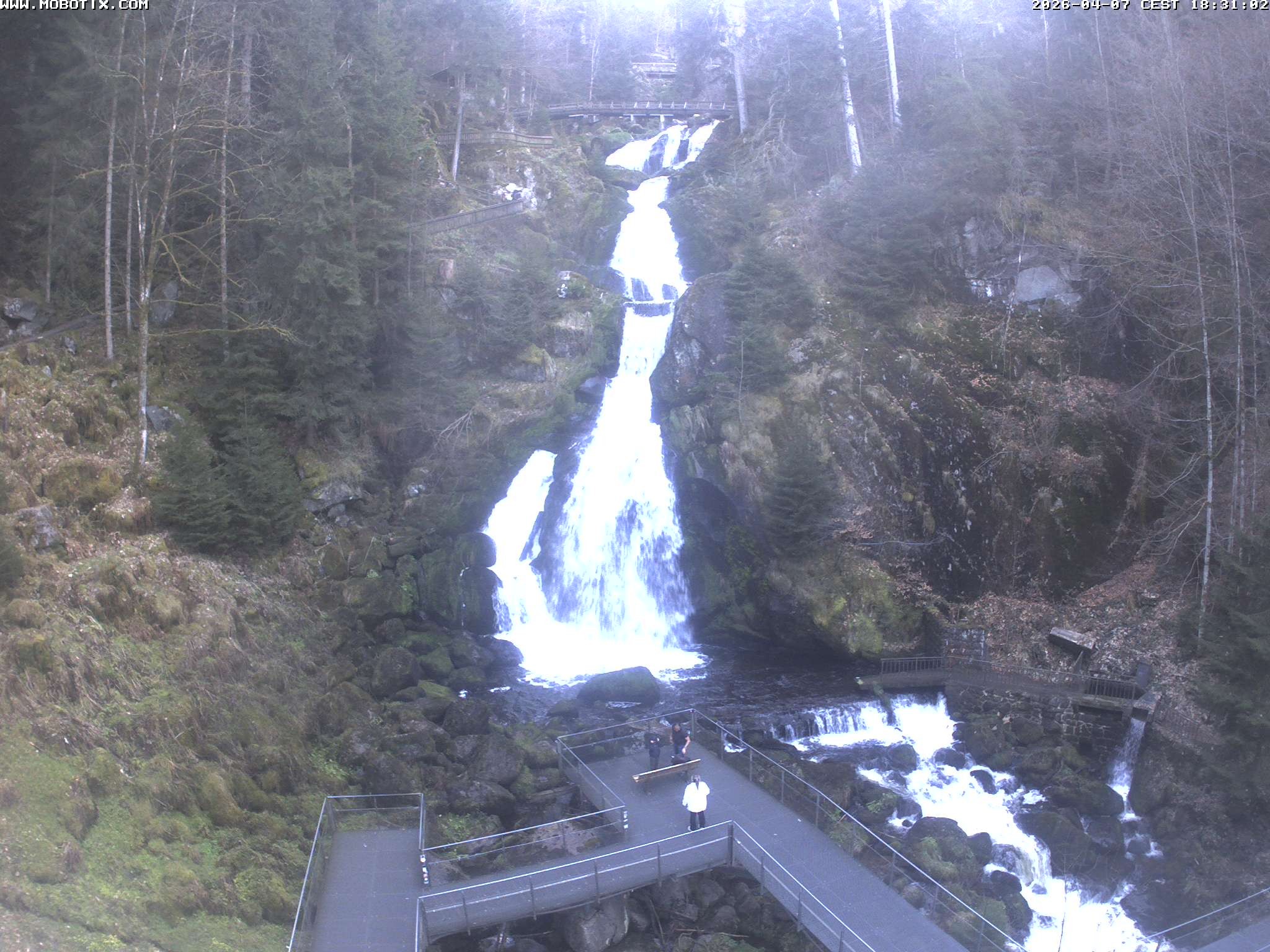 Archived image Webcam Triberg (Black Forest): Waterfalls