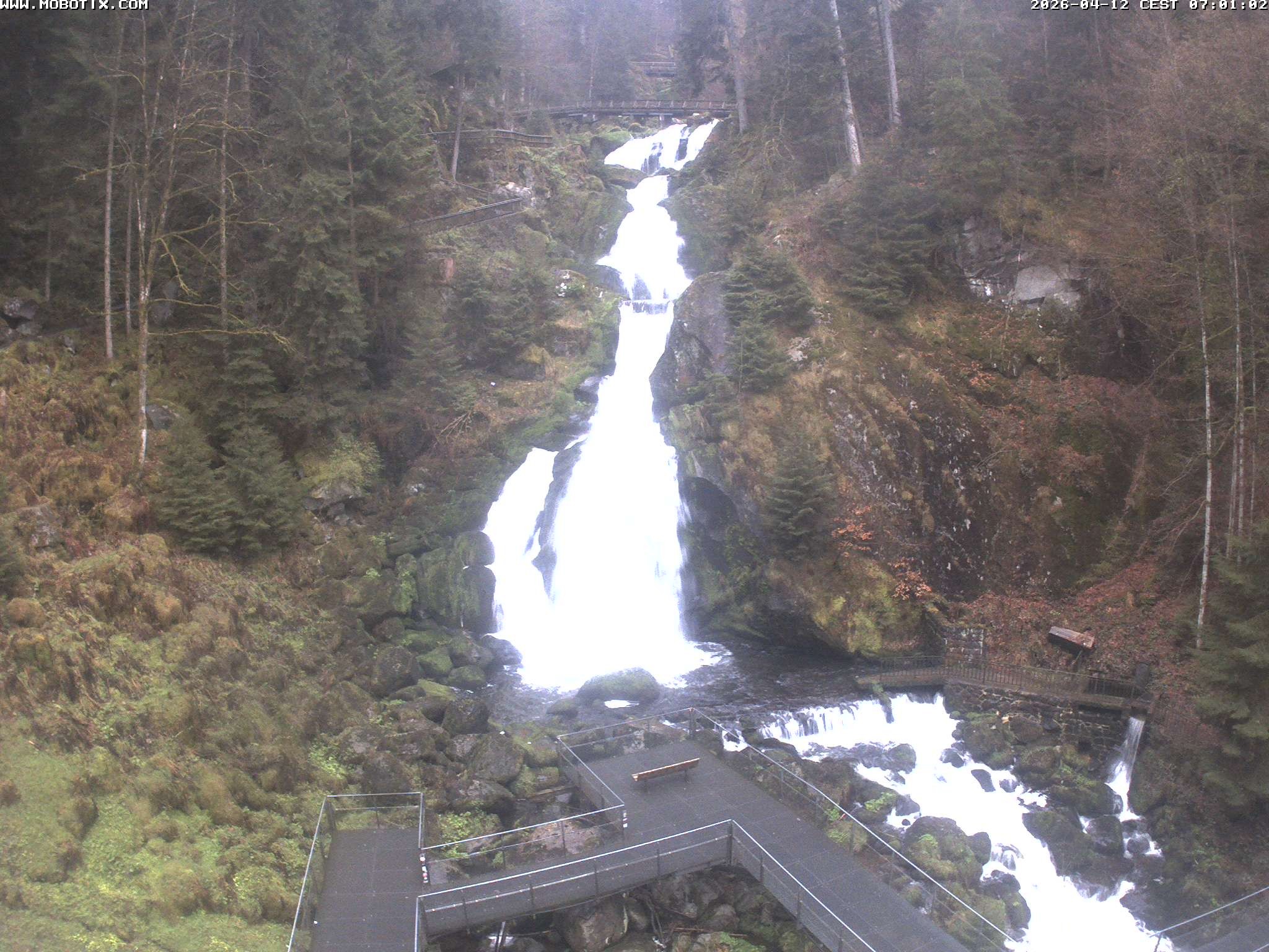 Archiv Foto Webcam Triberg Wasserfälle im Schwarzwald