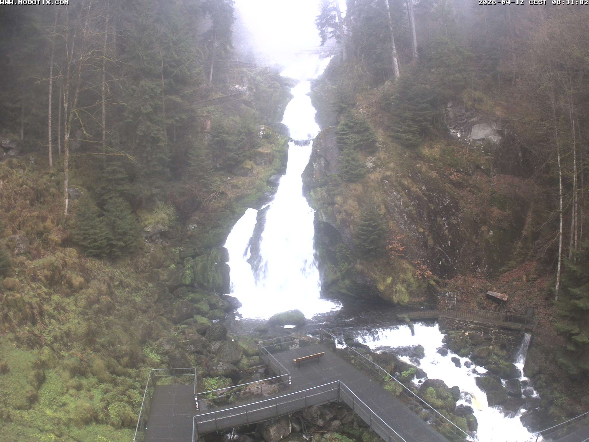 Archiv Foto Webcam Triberg Wasserfälle im Schwarzwald