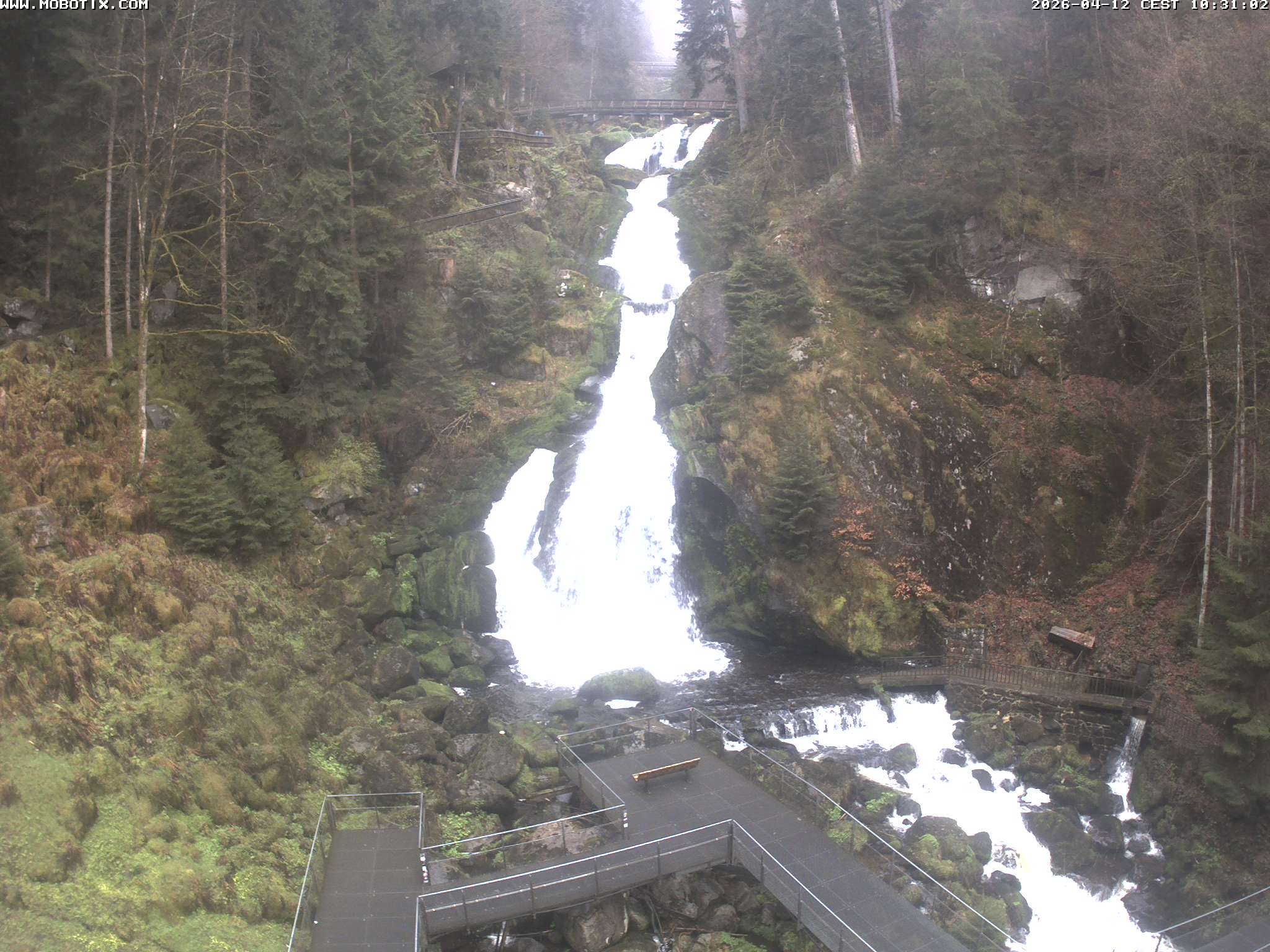 Archiv Foto Webcam Triberg Wasserfälle im Schwarzwald