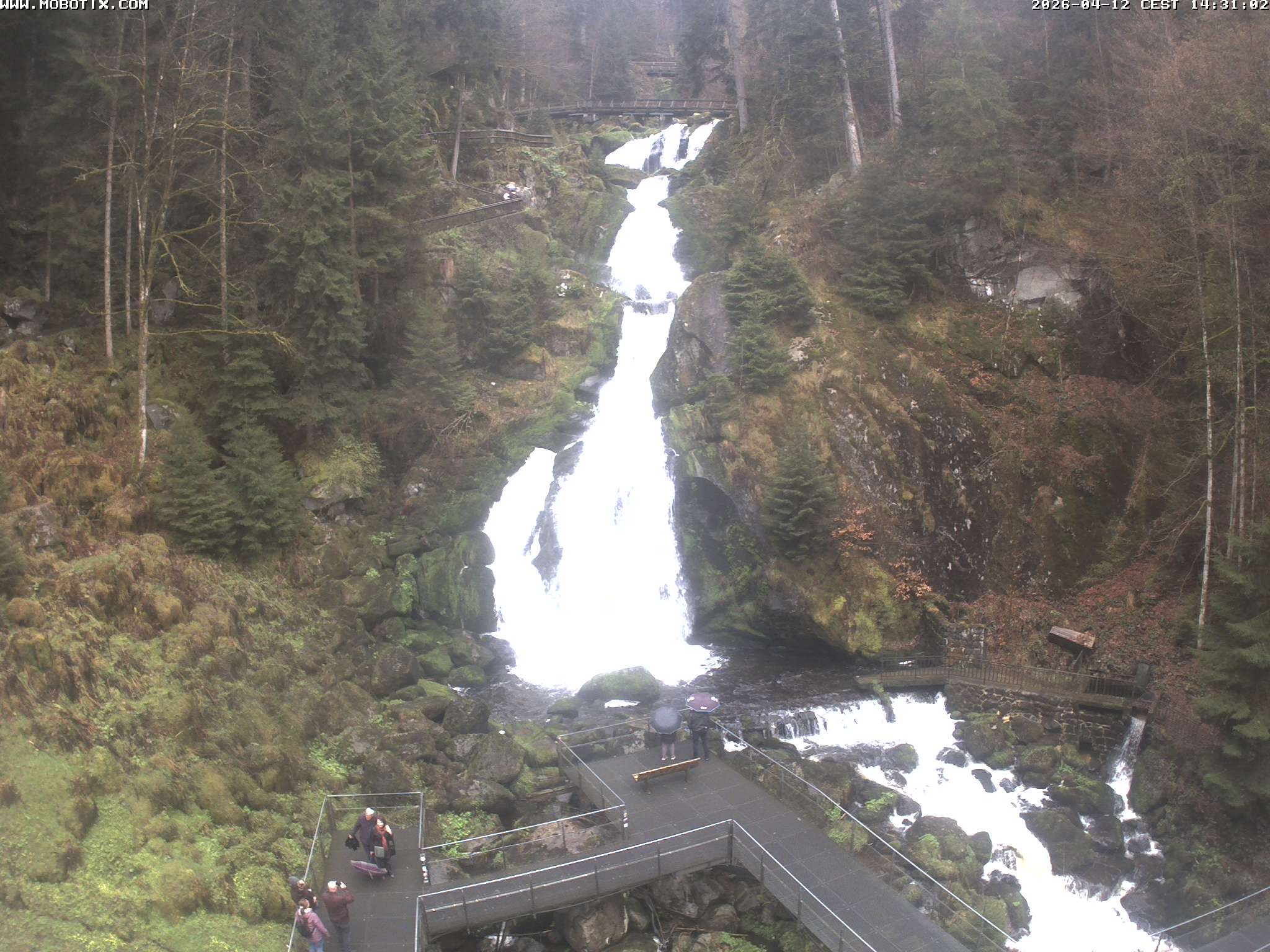 Archiv Foto Webcam Triberg Wasserfälle im Schwarzwald
