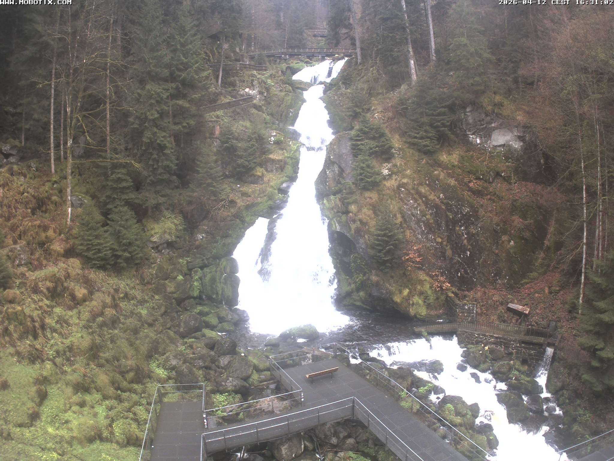 Archiv Foto Webcam Triberg Wasserfälle im Schwarzwald