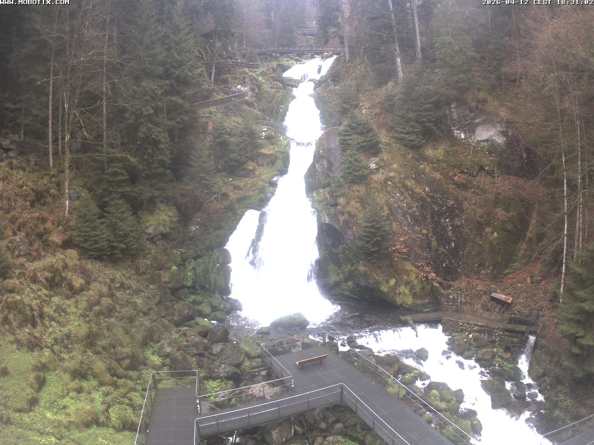 Archiv Foto Webcam Triberg Wasserfälle im Schwarzwald
