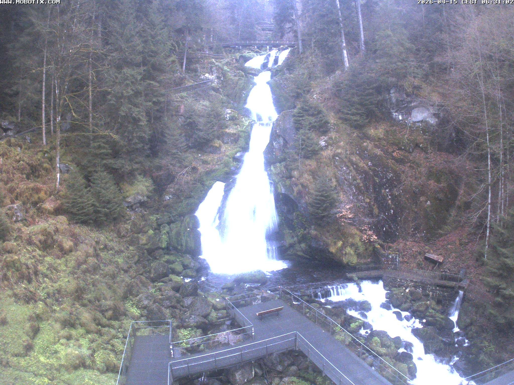 Archiv Foto Webcam Triberg Wasserfälle im Schwarzwald