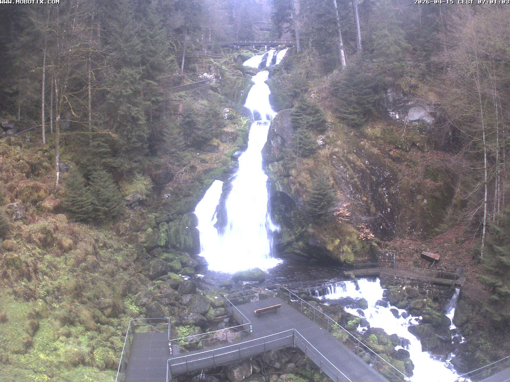 Archiv Foto Webcam Triberg Wasserfälle im Schwarzwald