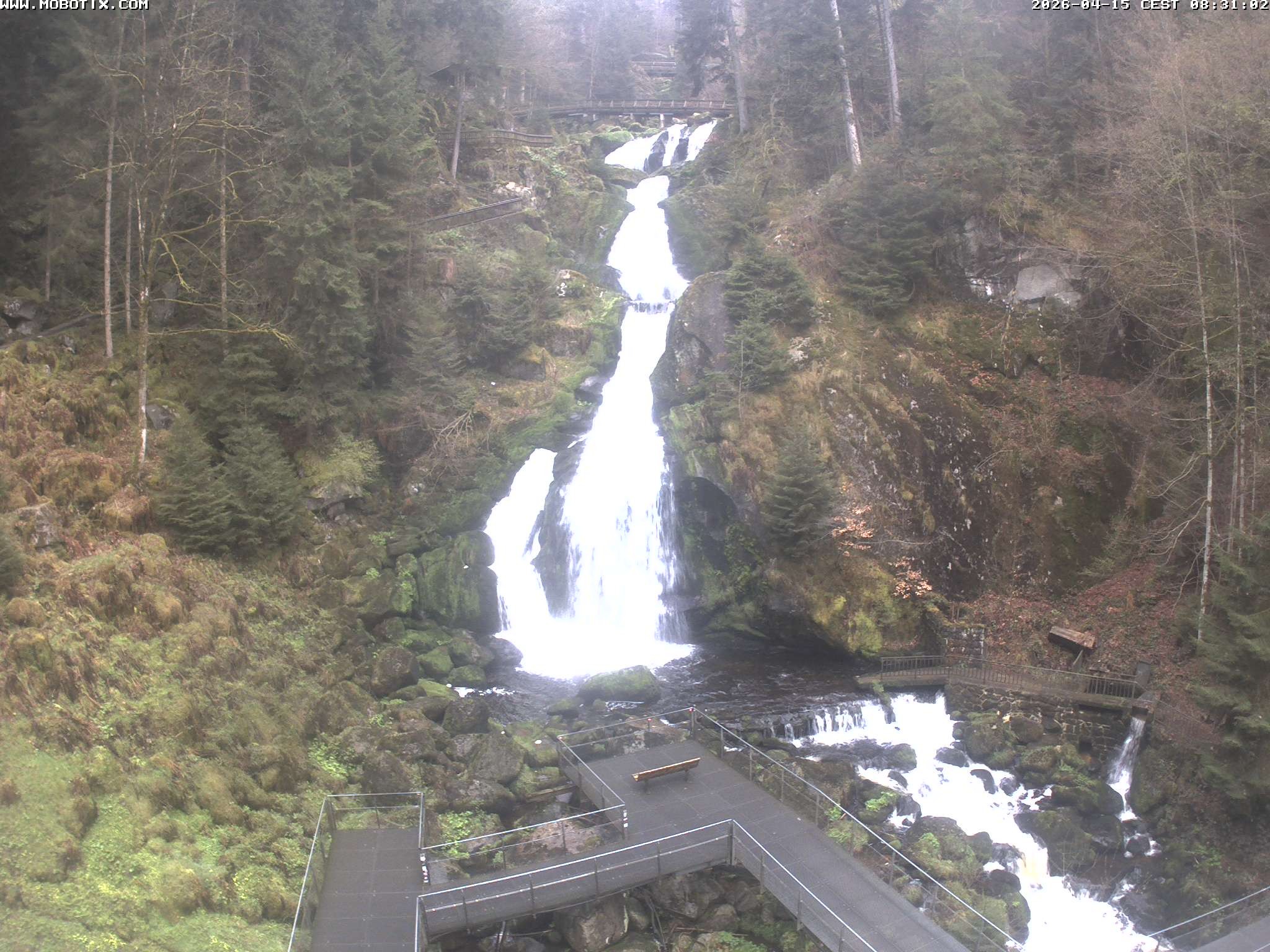 Archiv Foto Webcam Triberg Wasserfälle im Schwarzwald