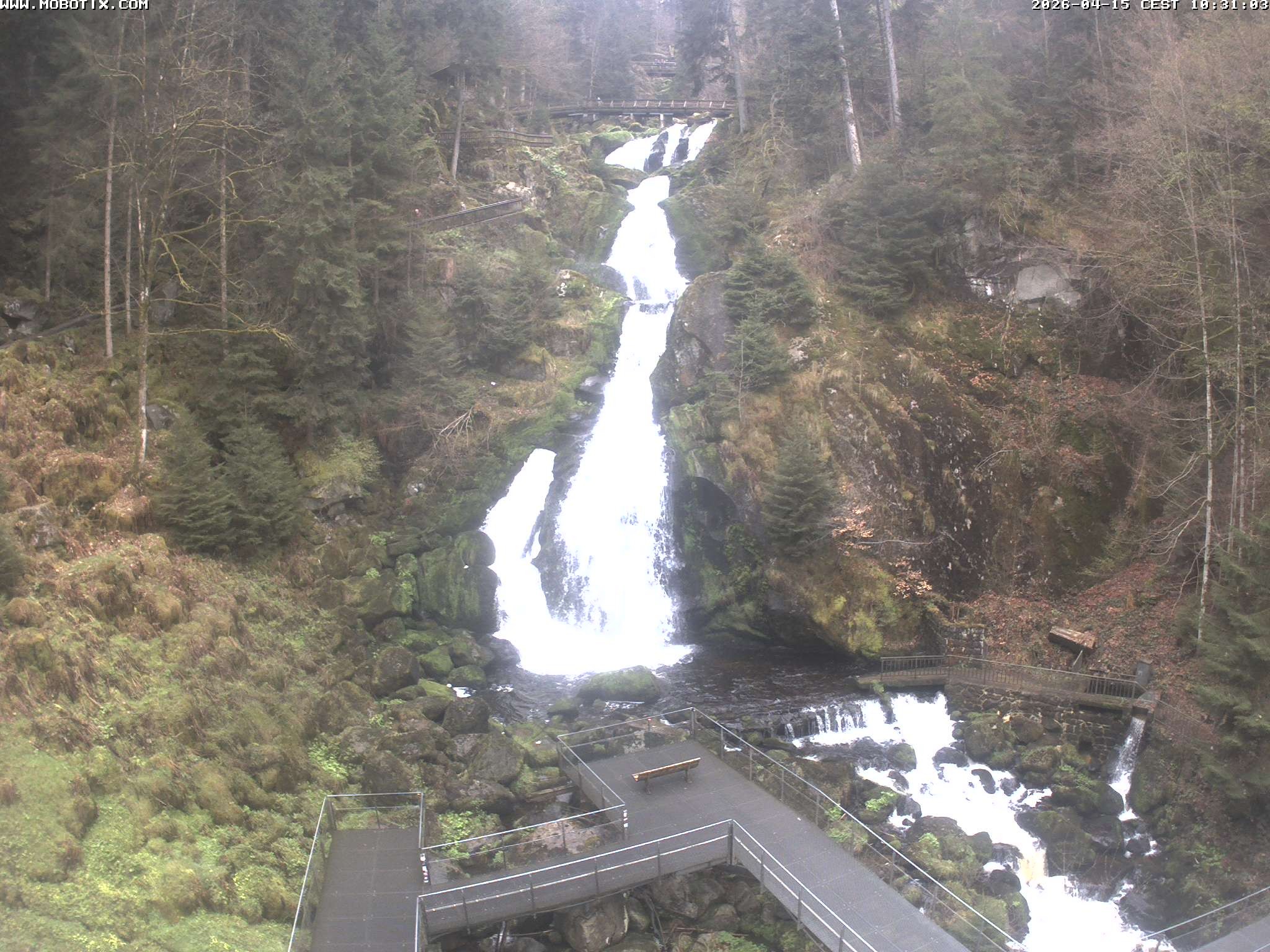 Archiv Foto Webcam Triberg Wasserfälle im Schwarzwald