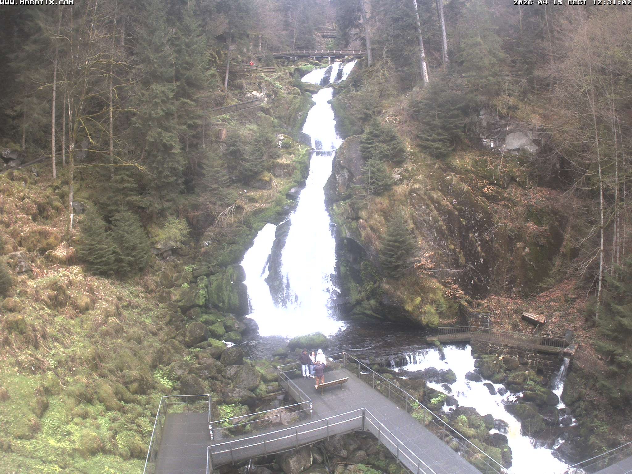 Archiv Foto Webcam Triberg Wasserfälle im Schwarzwald