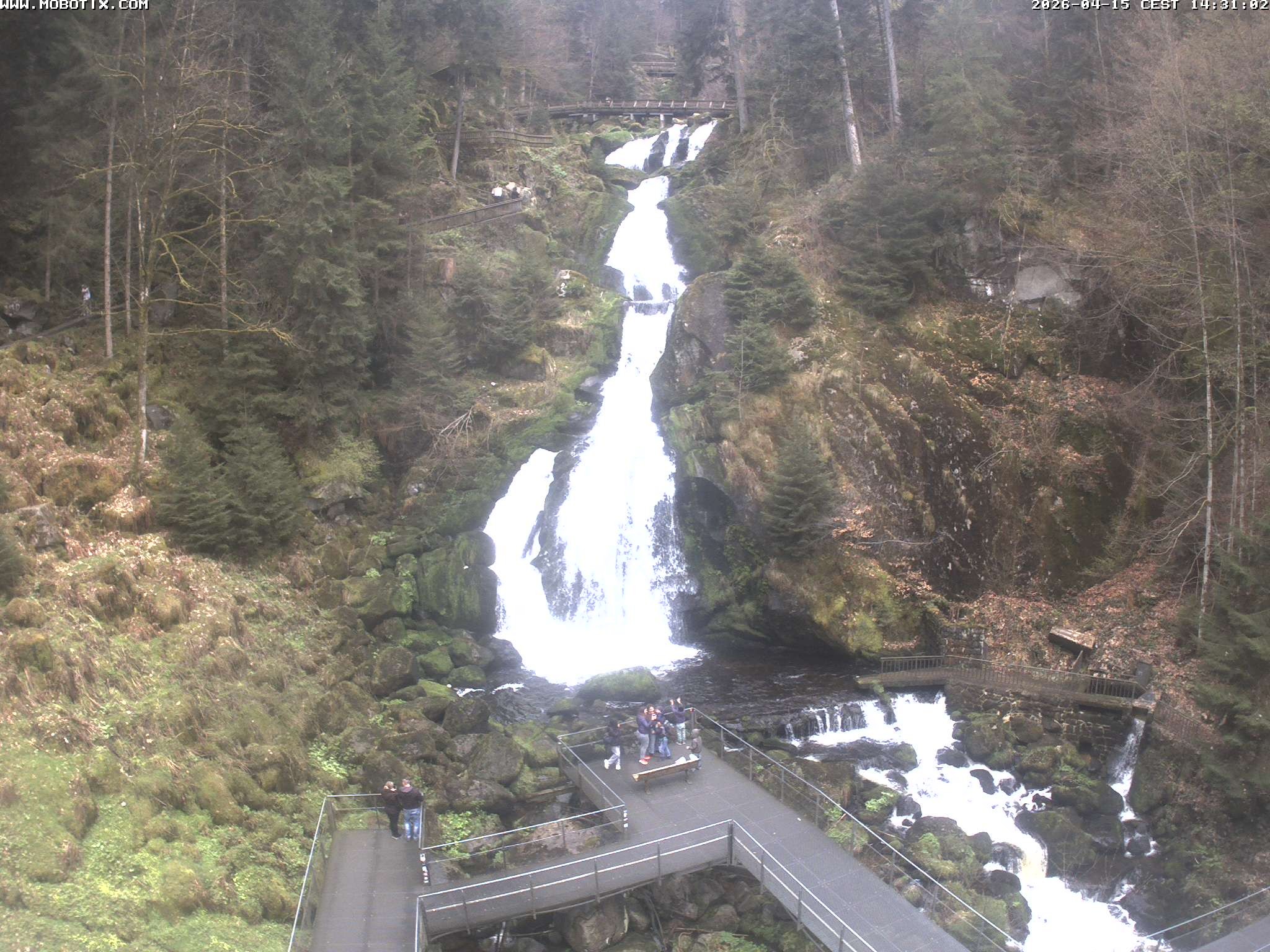 Archiv Foto Webcam Triberg Wasserfälle im Schwarzwald