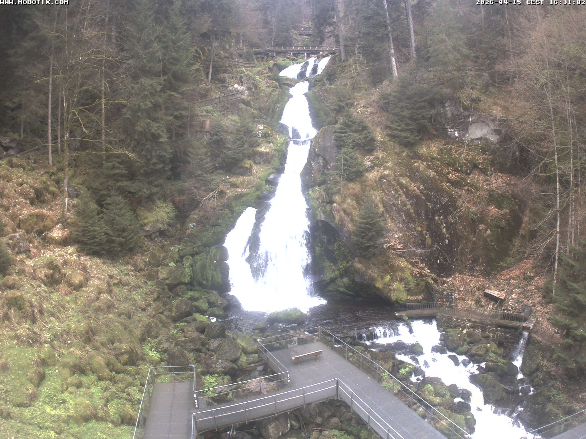 Archiv Foto Webcam Triberg Wasserfälle im Schwarzwald