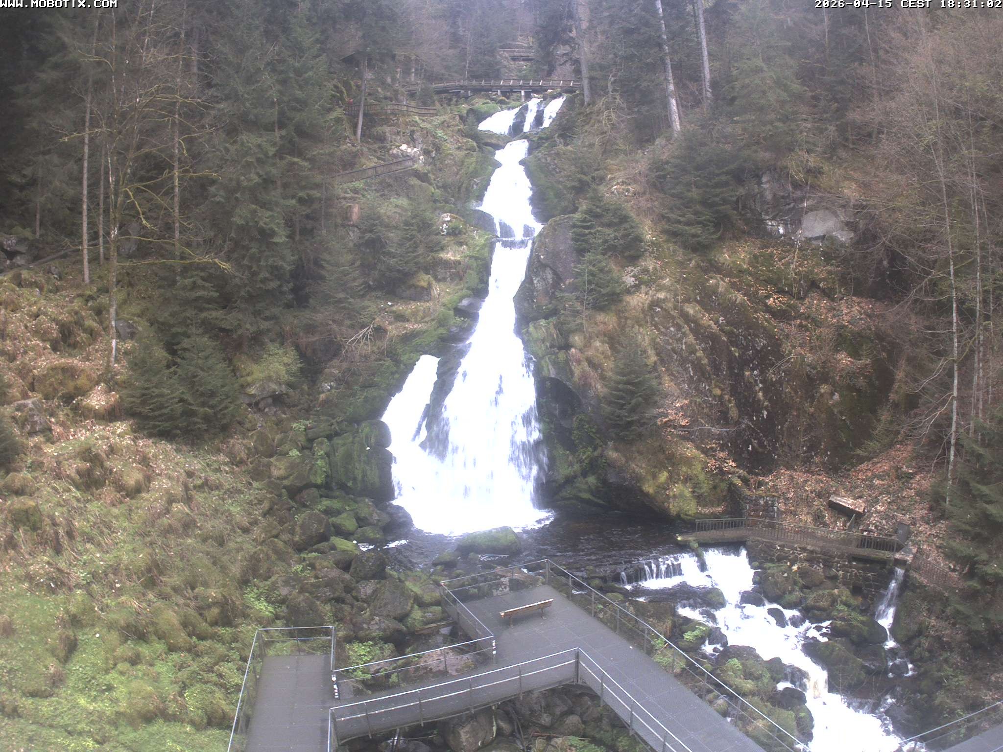 Archiv Foto Webcam Triberg Wasserfälle im Schwarzwald