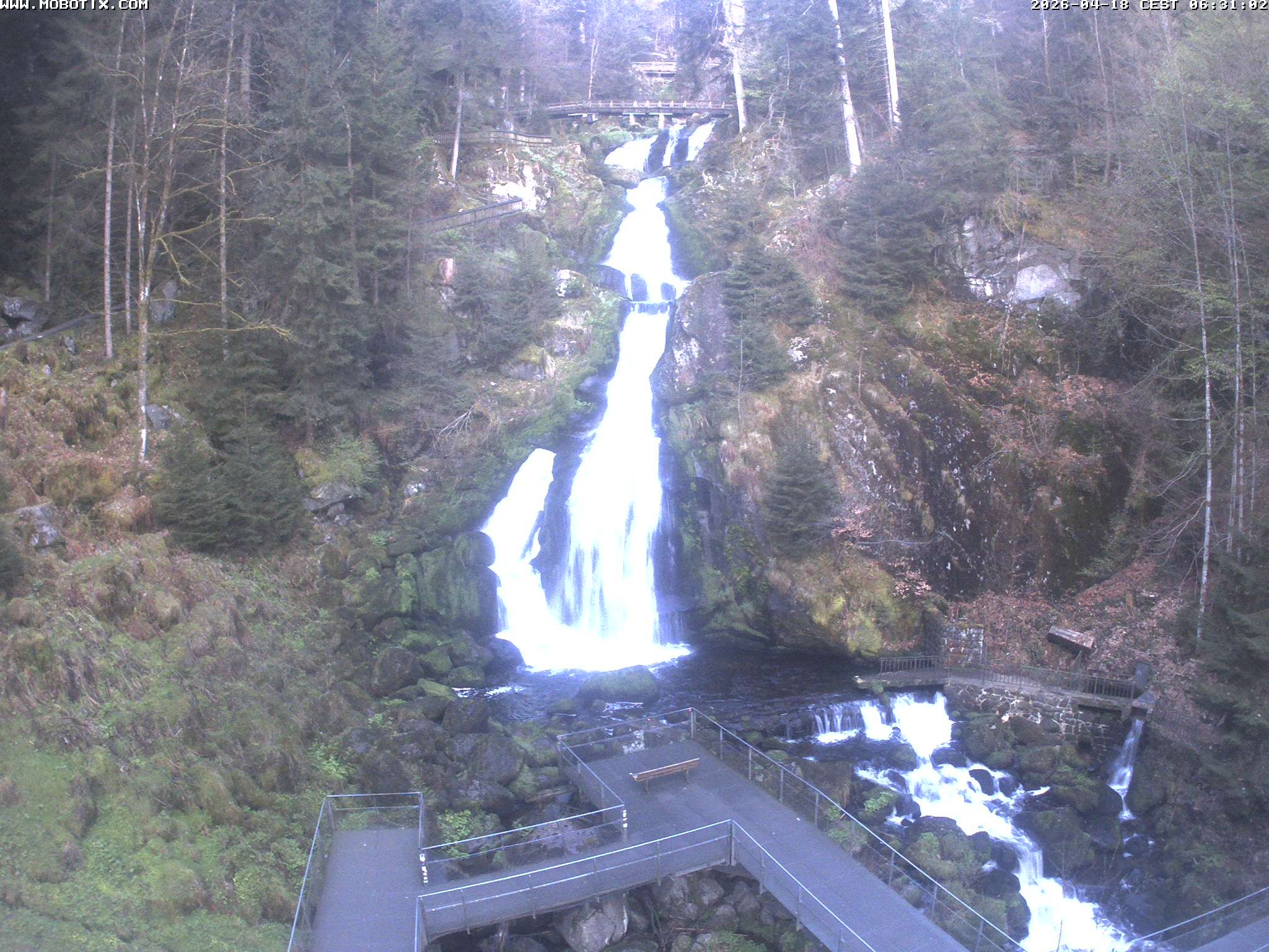 Archiv Foto Webcam Triberg Wasserfälle im Schwarzwald