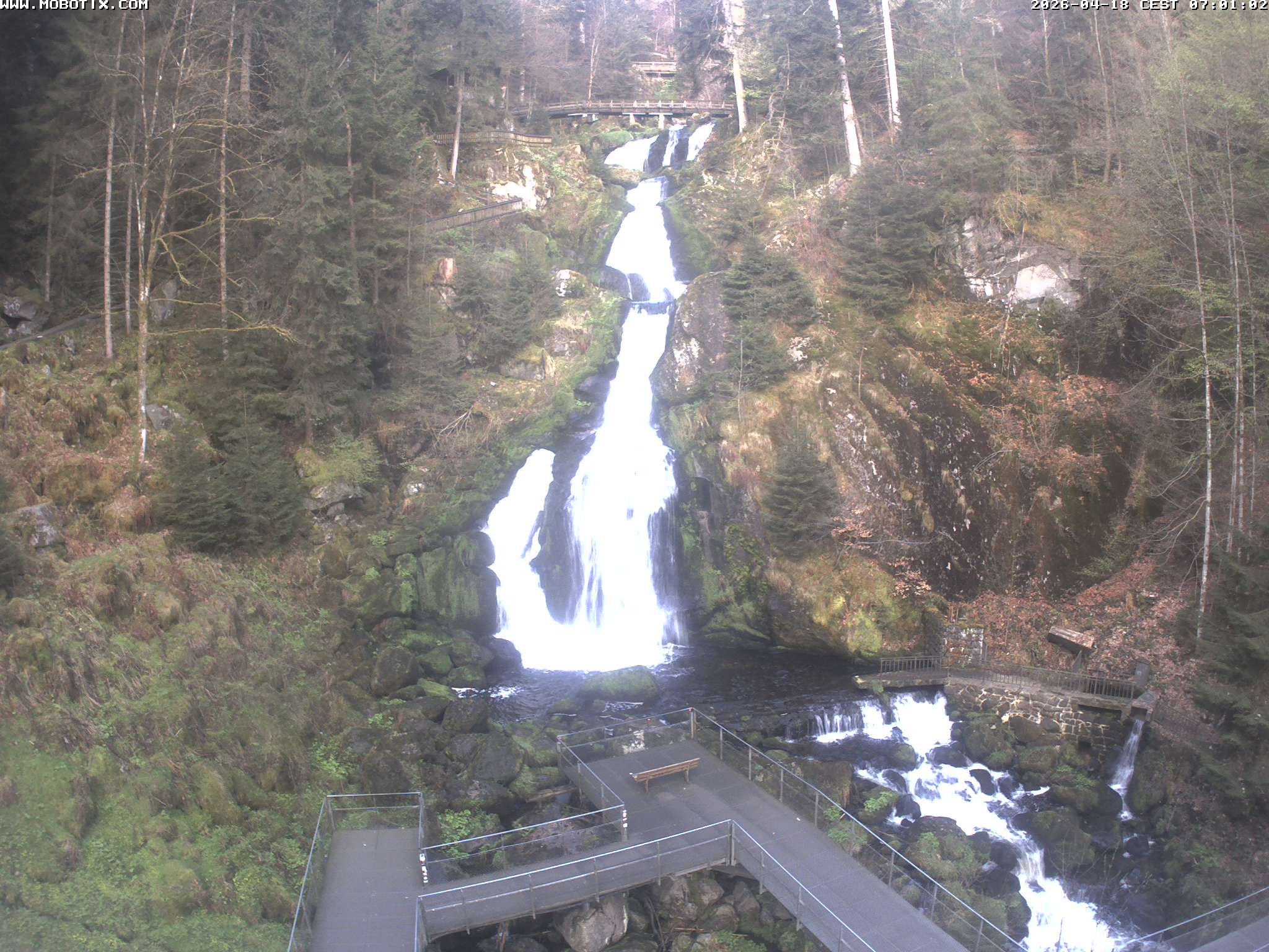 Archiv Foto Webcam Triberg Wasserfälle im Schwarzwald