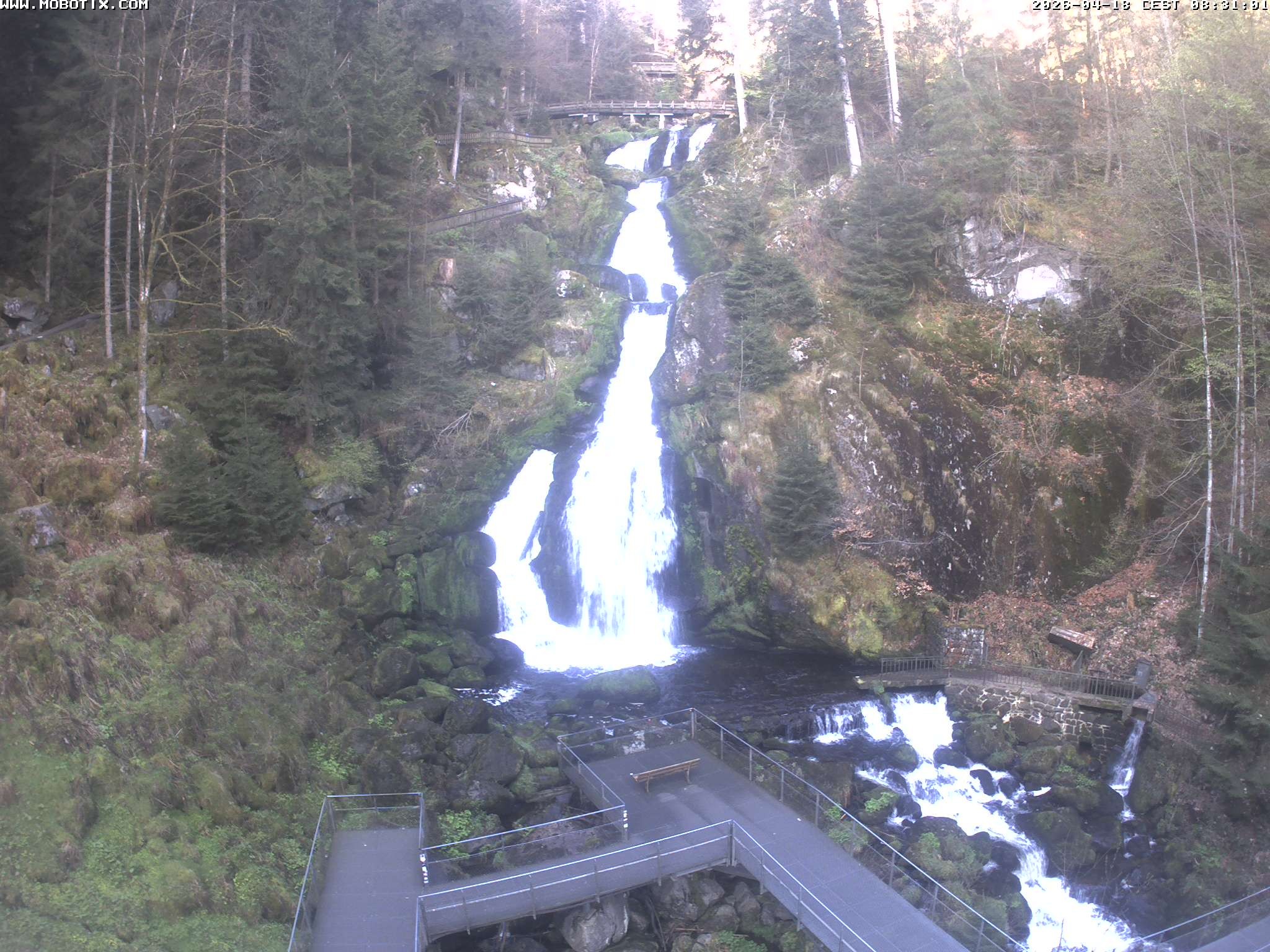 Archiv Foto Webcam Triberg Wasserfälle im Schwarzwald