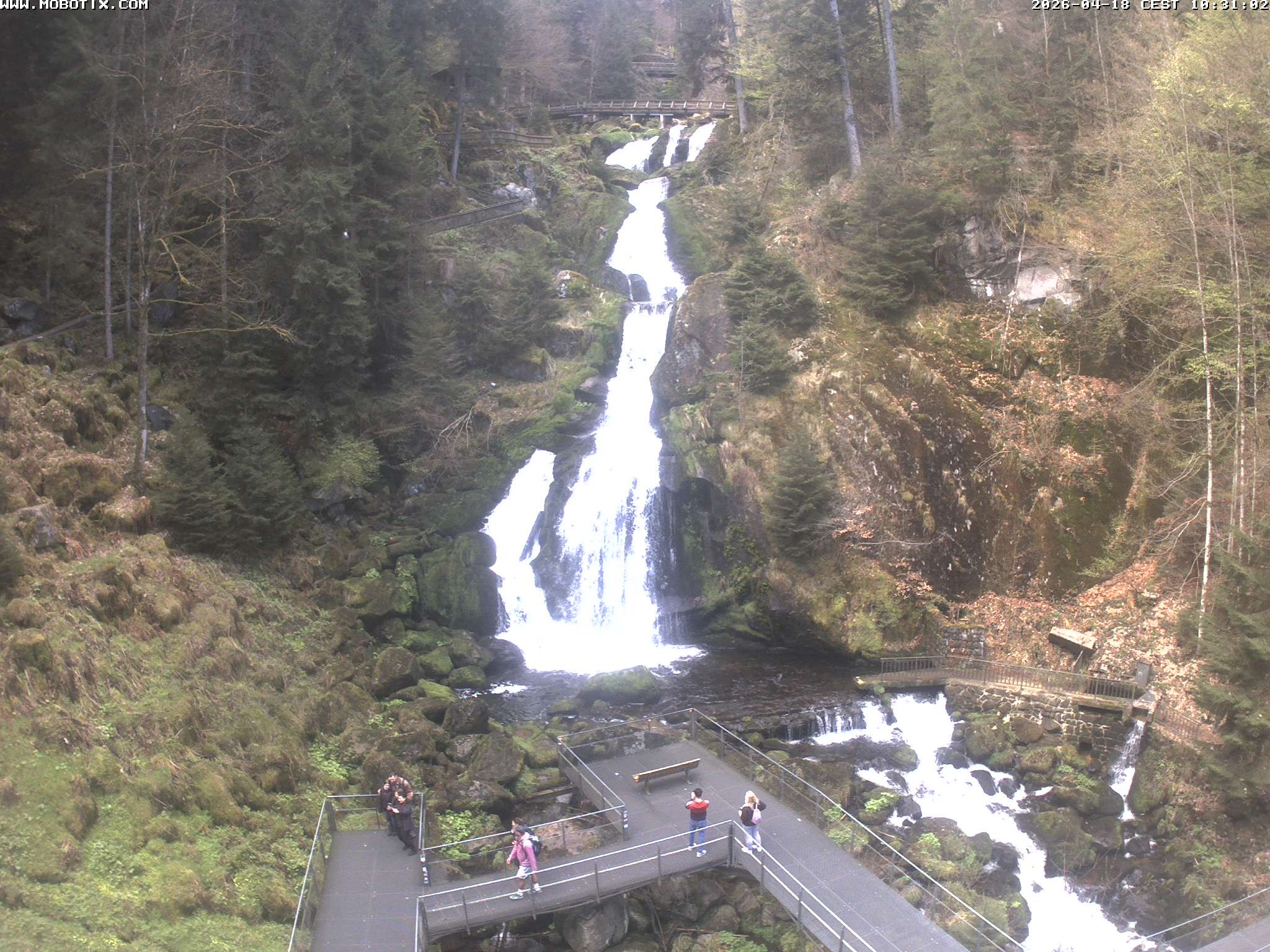 Archiv Foto Webcam Triberg Wasserfälle im Schwarzwald