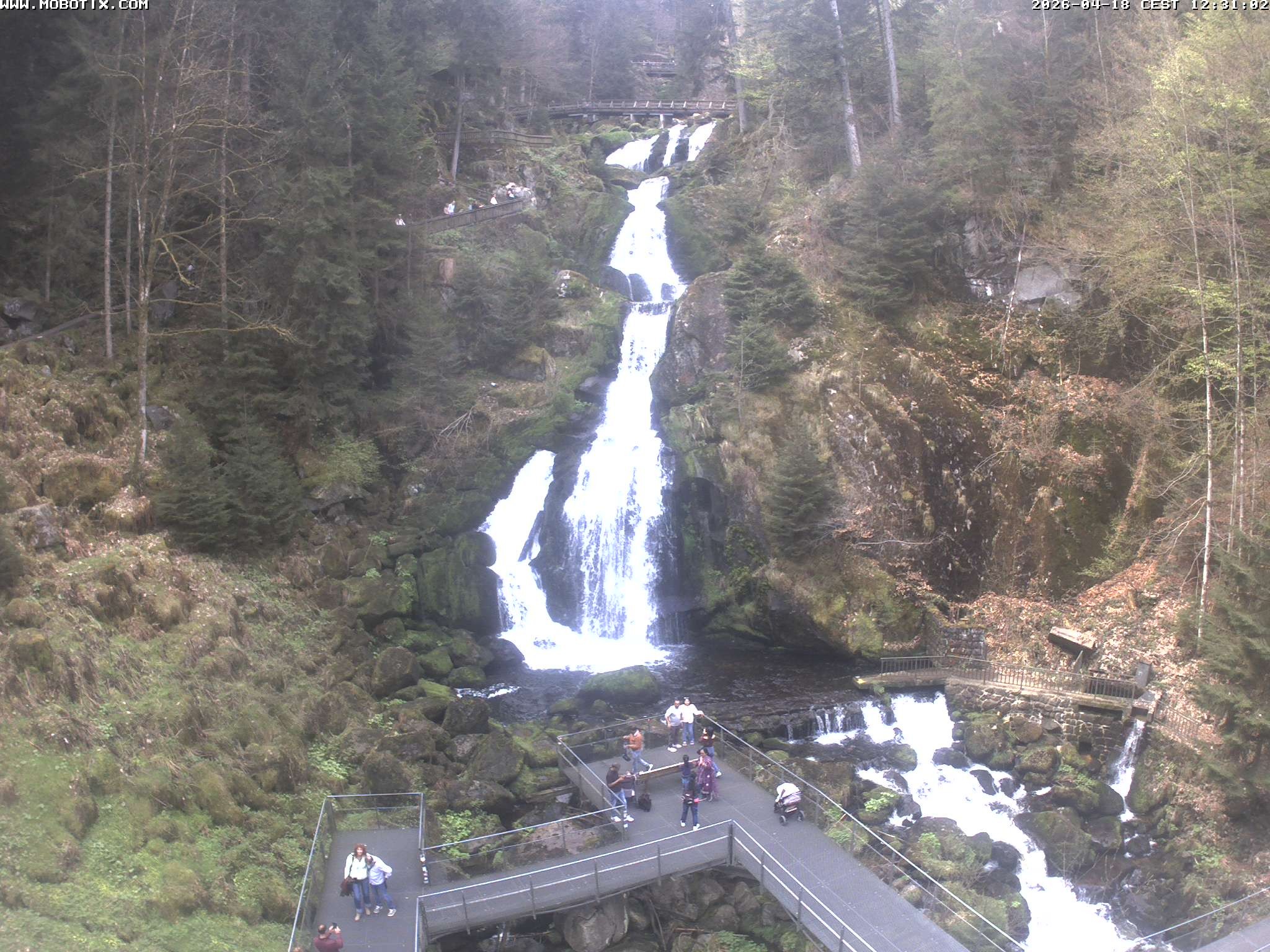 Archiv Foto Webcam Triberg Wasserfälle im Schwarzwald