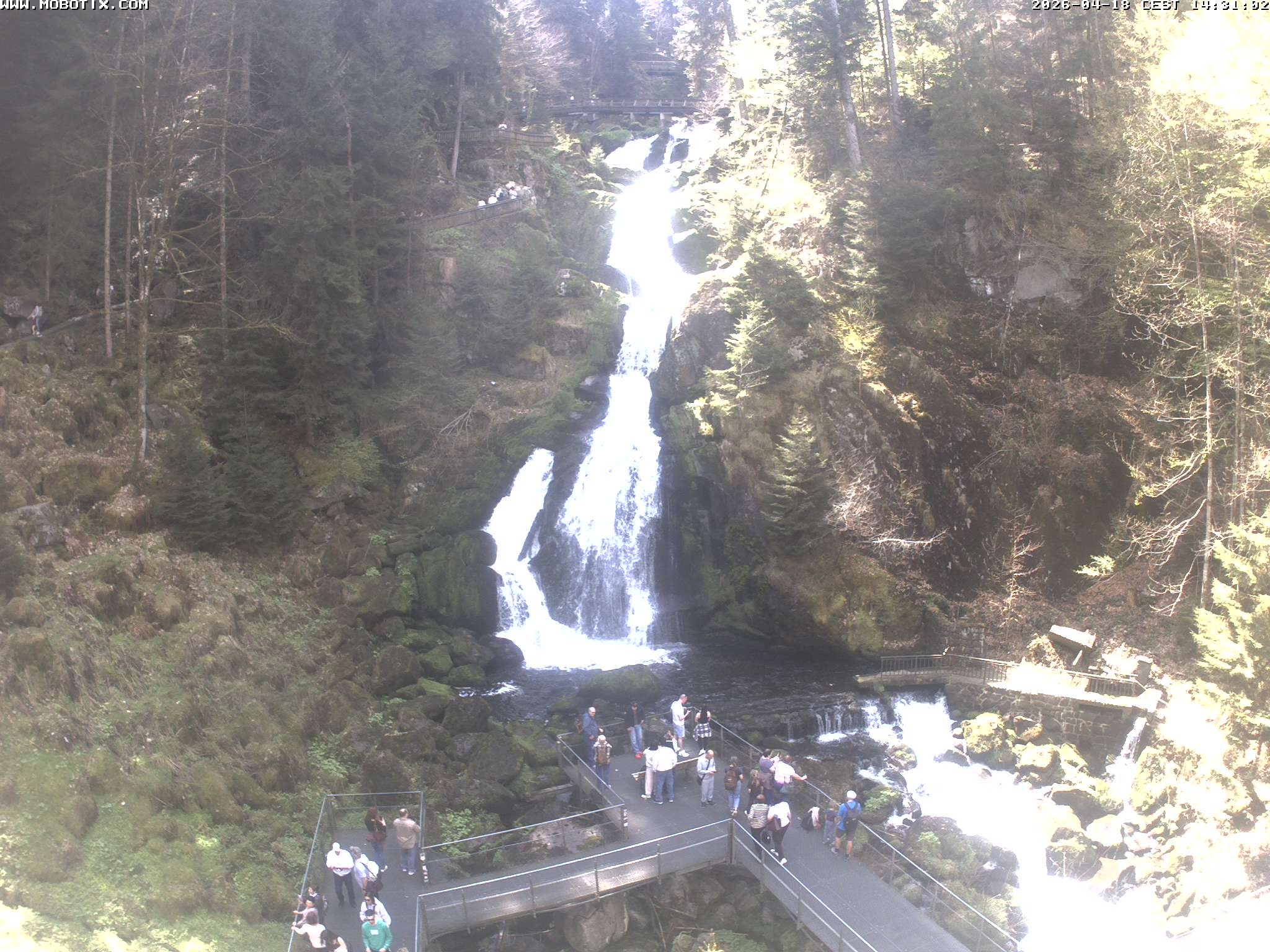 Archiv Foto Webcam Triberg Wasserfälle im Schwarzwald