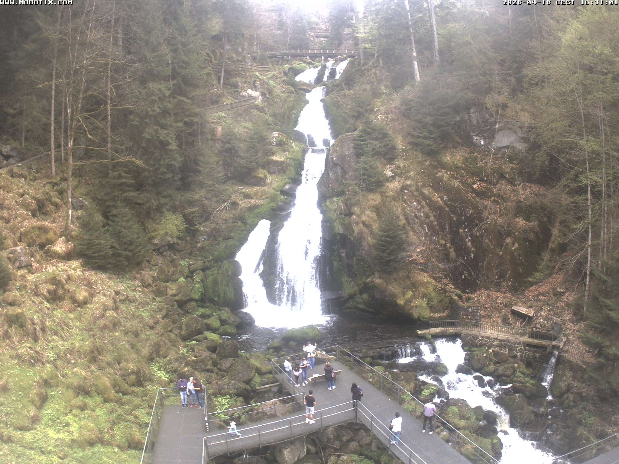 Archiv Foto Webcam Triberg Wasserfälle im Schwarzwald