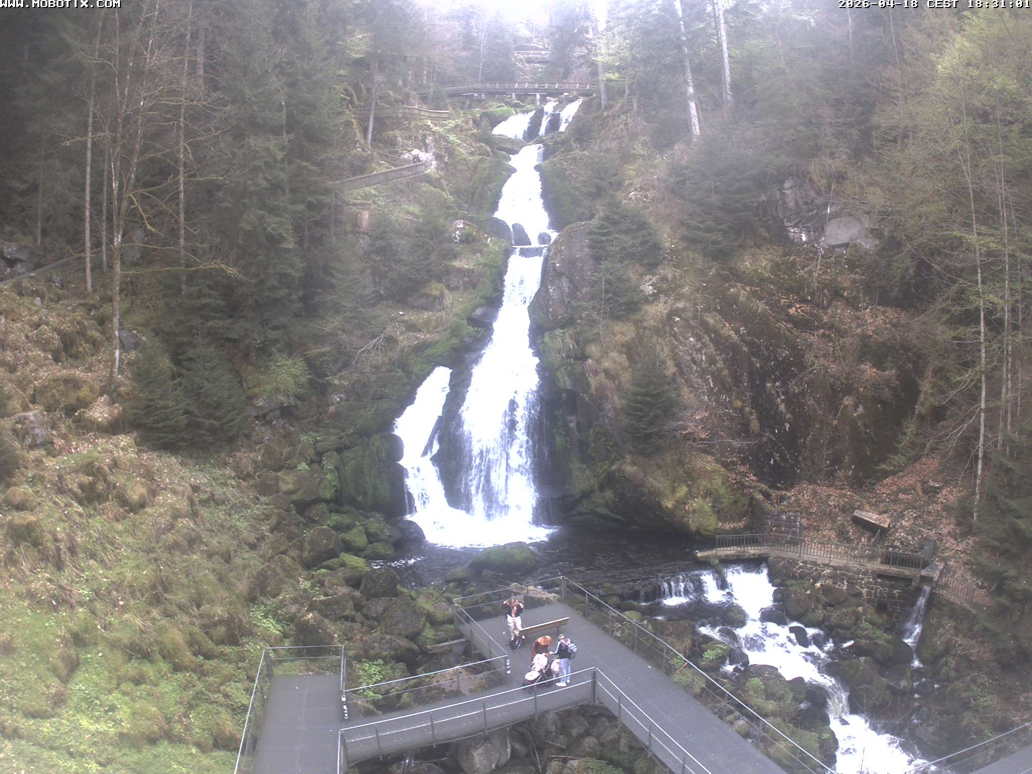 Archiv Foto Webcam Triberg Wasserfälle im Schwarzwald