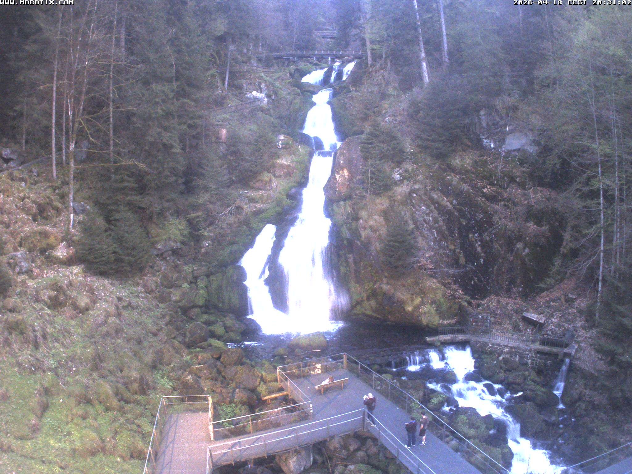Archiv Foto Webcam Triberg Wasserfälle im Schwarzwald