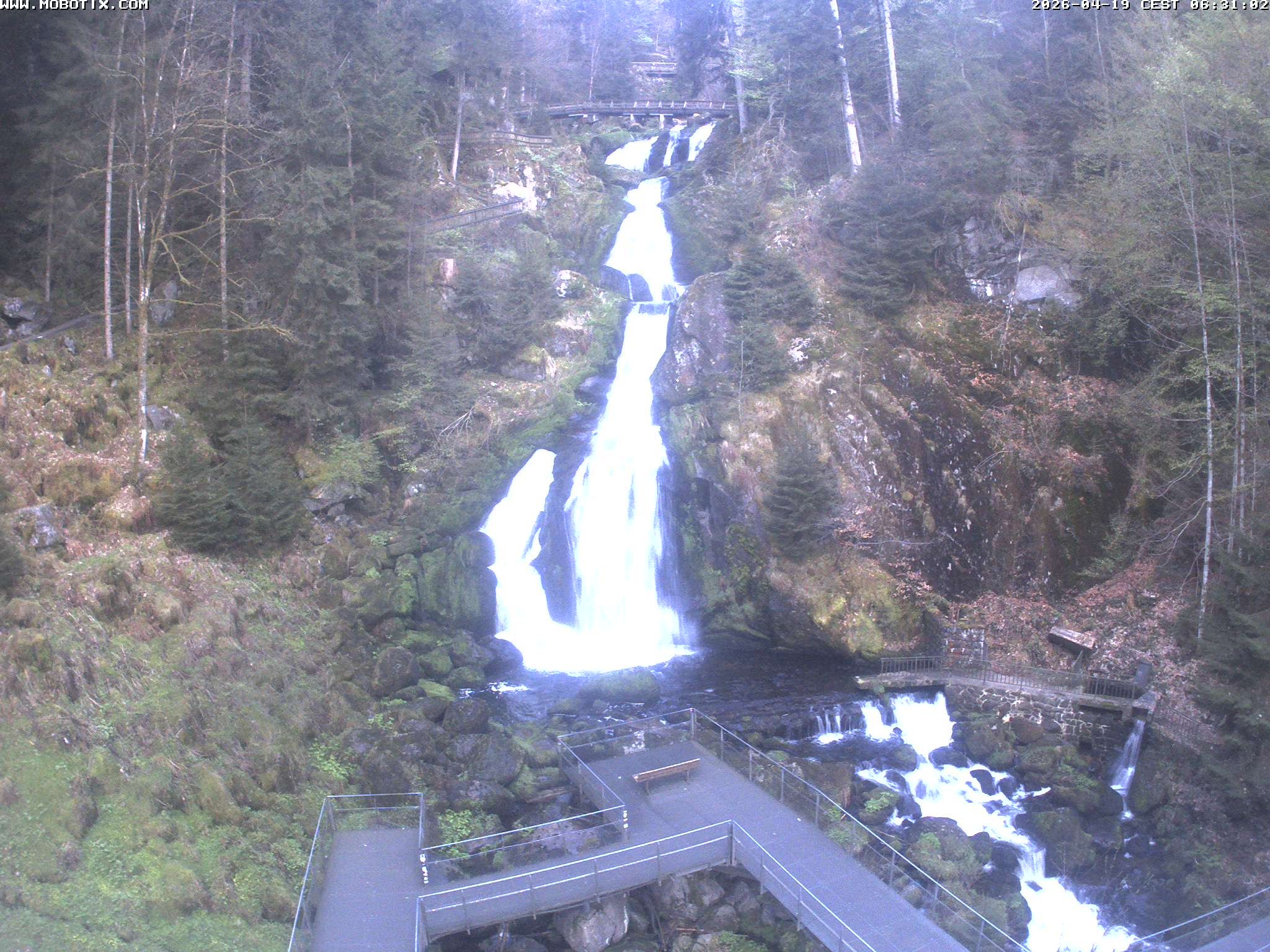 Archiv Foto Webcam Triberg Wasserfälle im Schwarzwald
