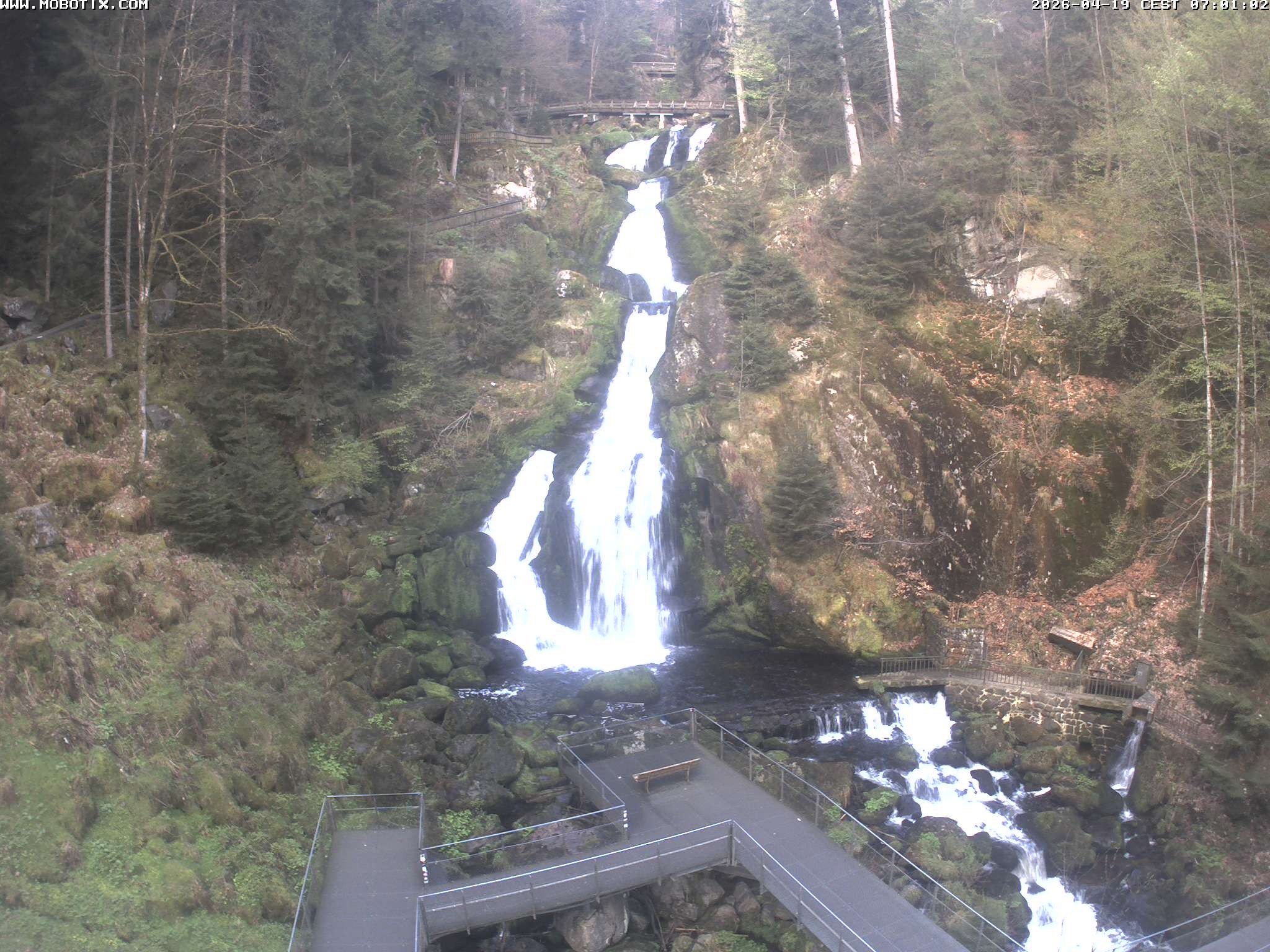 Archiv Foto Webcam Triberg Wasserfälle im Schwarzwald