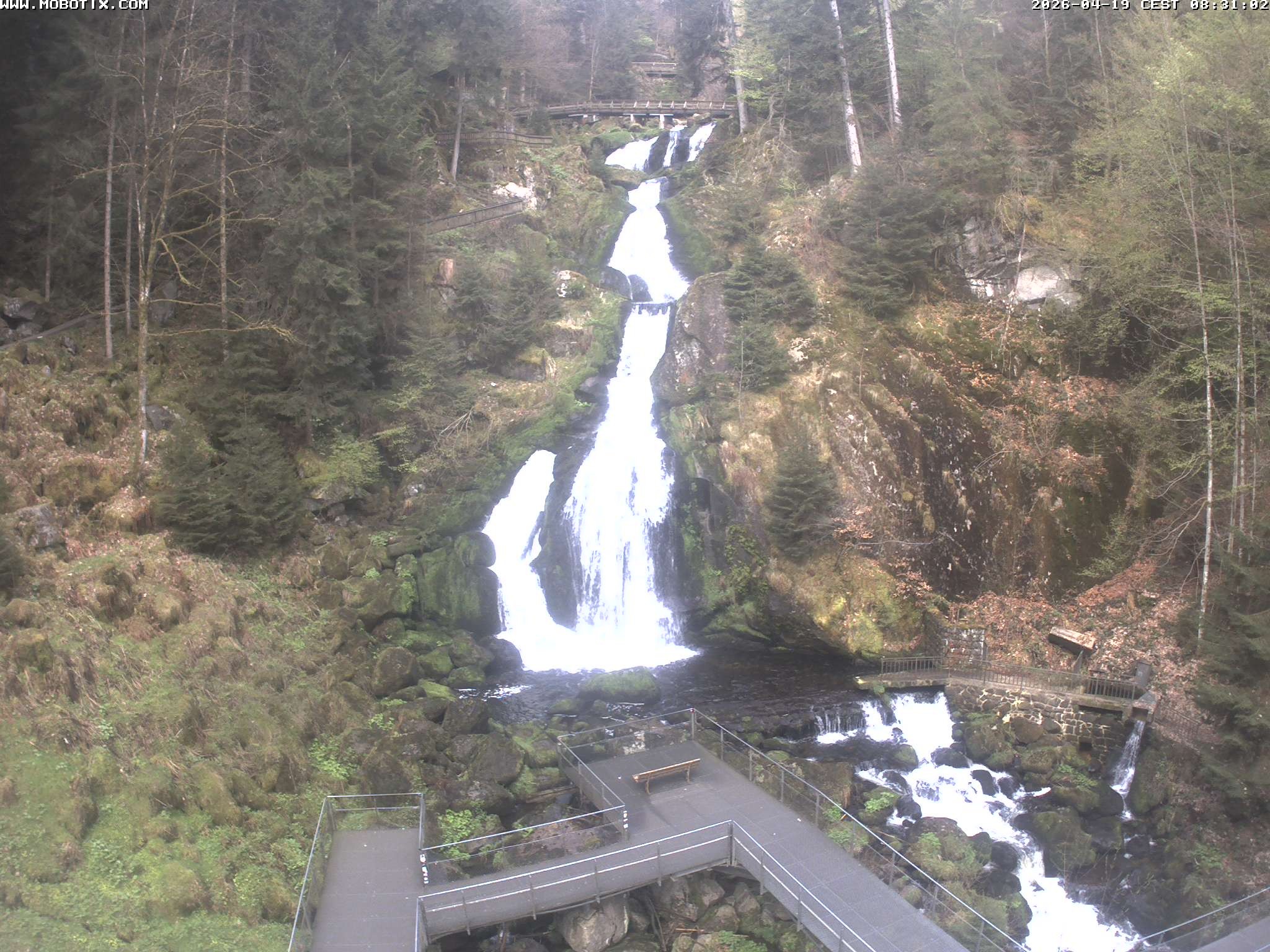 Archiv Foto Webcam Triberg Wasserfälle im Schwarzwald