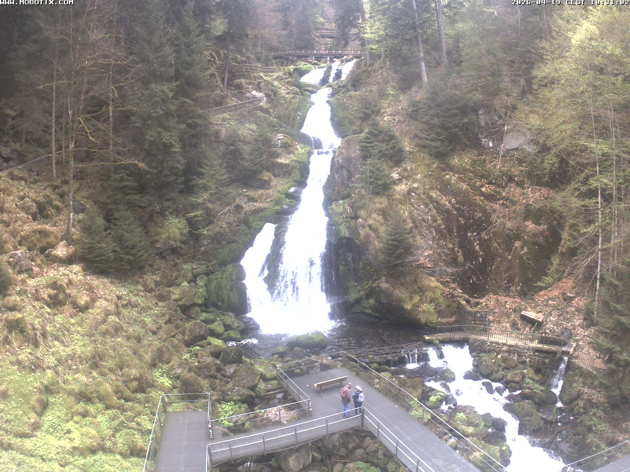 Archiv Foto Webcam Triberg Wasserfälle im Schwarzwald