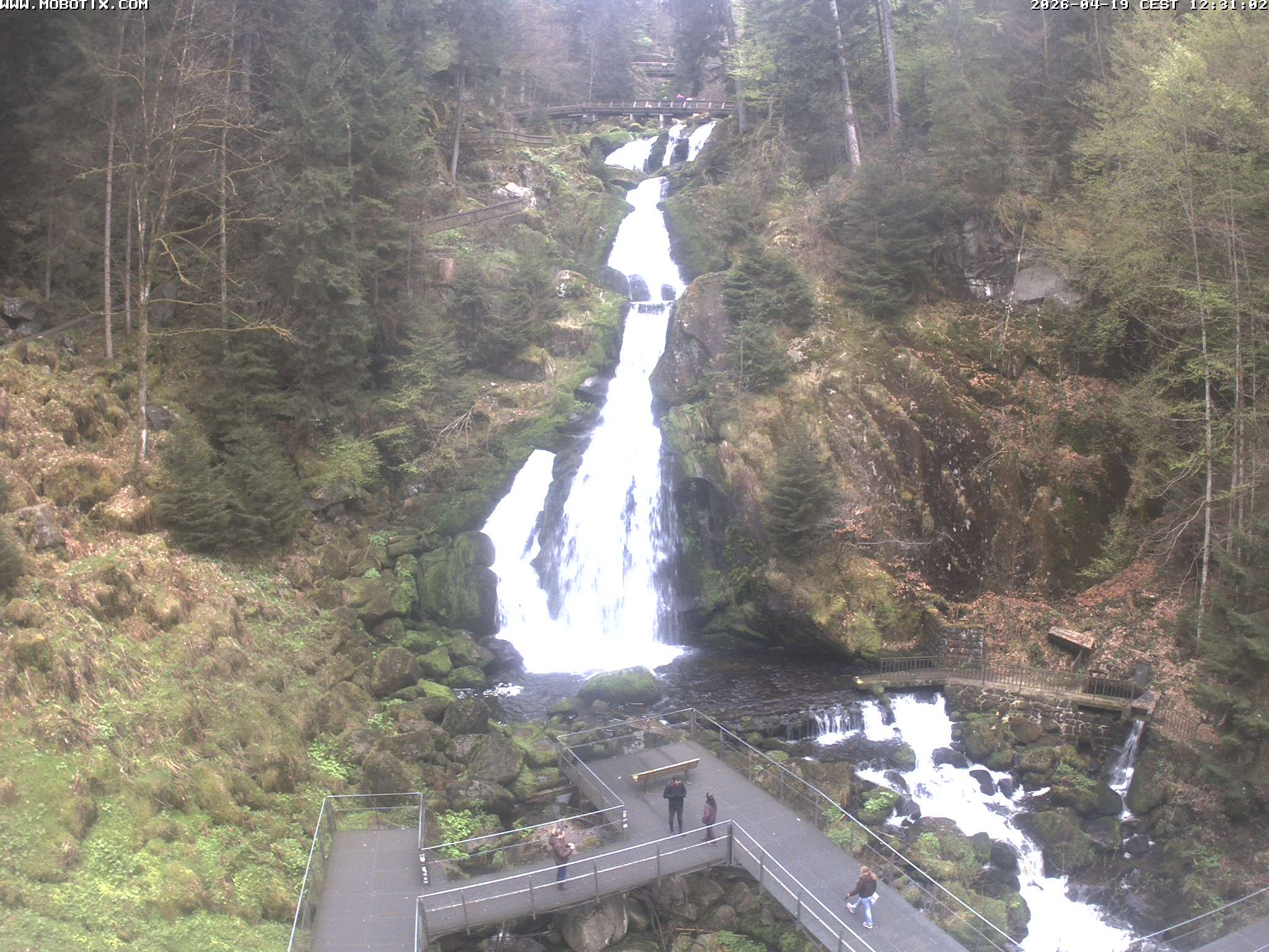 Archiv Foto Webcam Triberg Wasserfälle im Schwarzwald