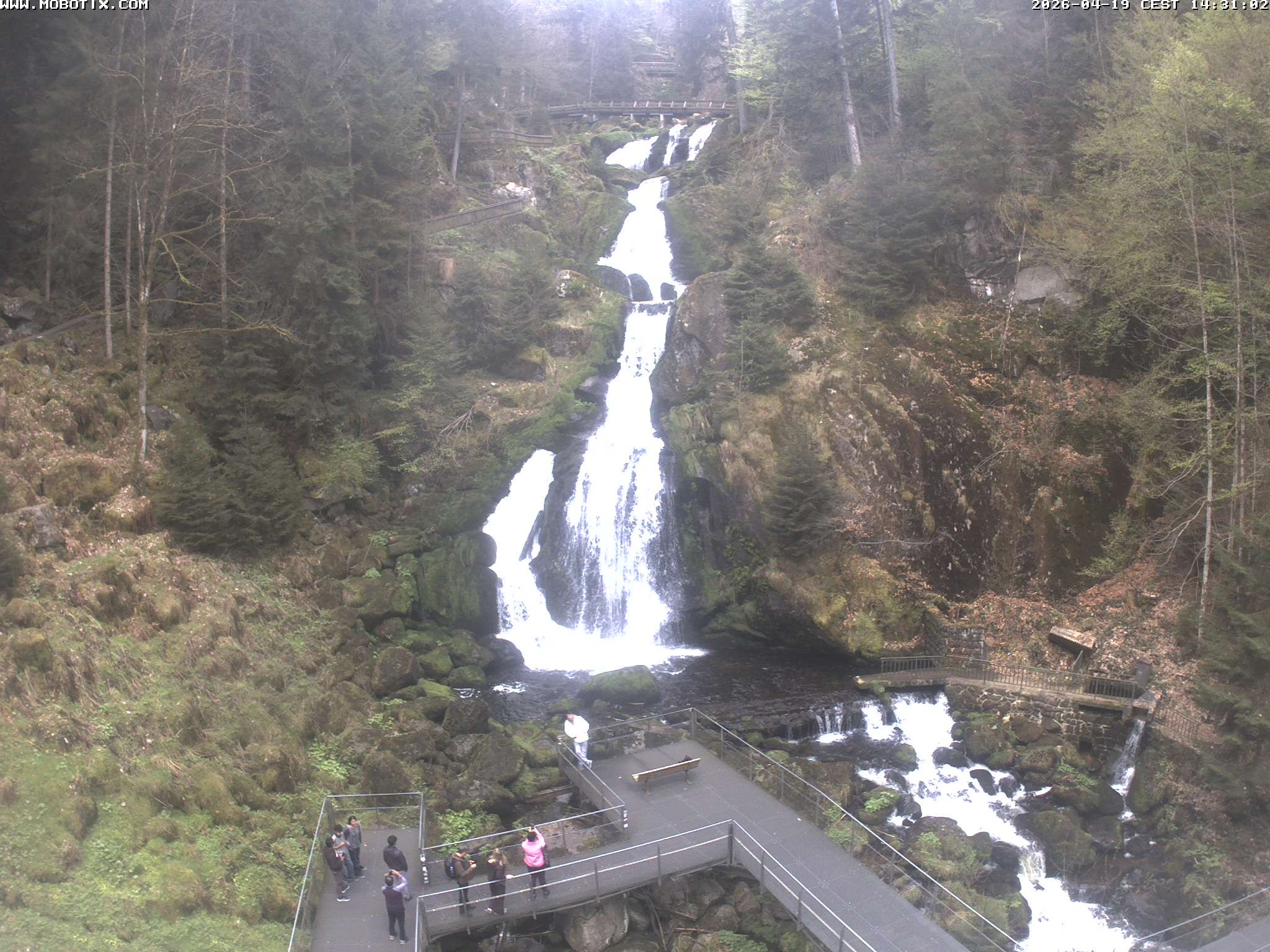Archiv Foto Webcam Triberg Wasserfälle im Schwarzwald
