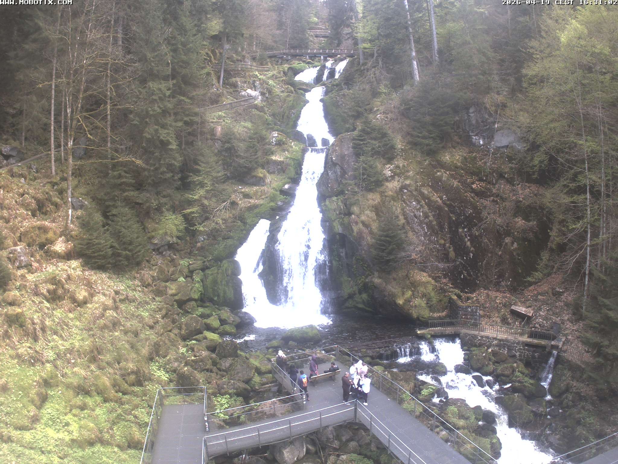 Archiv Foto Webcam Triberg Wasserfälle im Schwarzwald