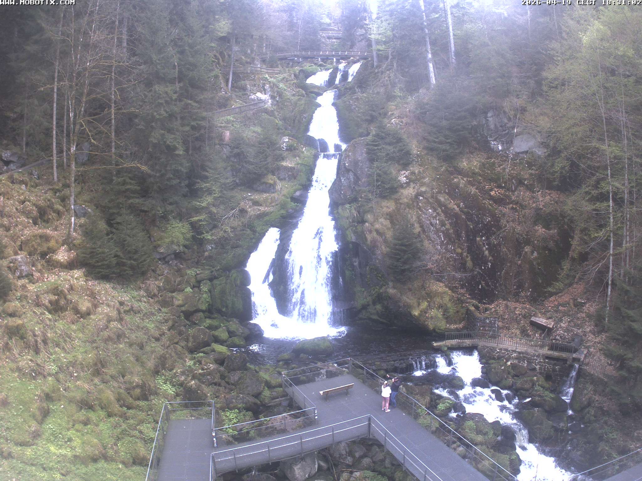 Archiv Foto Webcam Triberg Wasserfälle im Schwarzwald