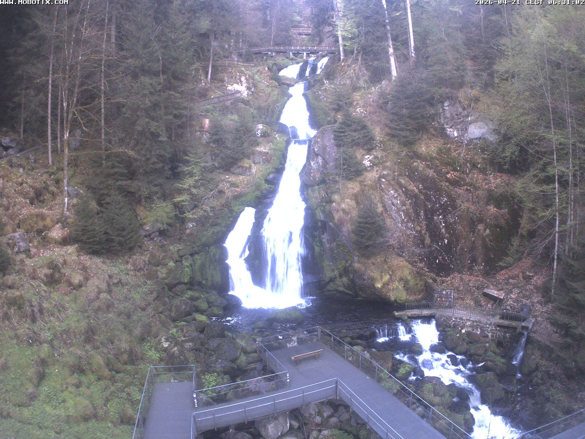 Archiv Foto Webcam Triberg Wasserfälle im Schwarzwald