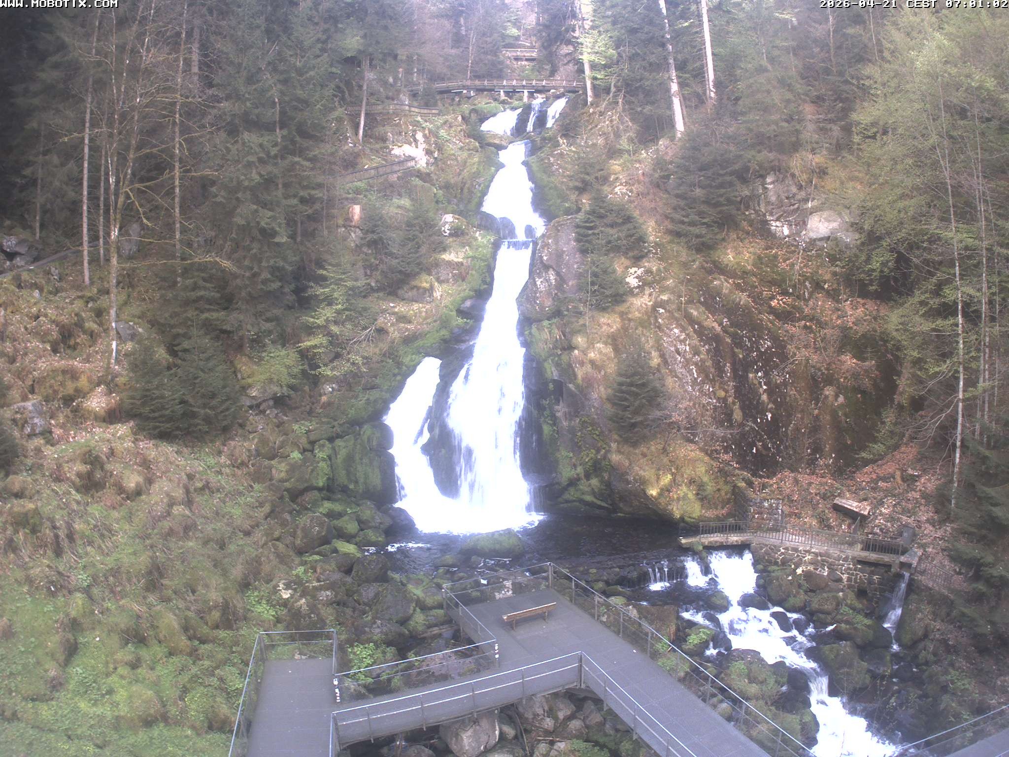 Archiv Foto Webcam Triberg Wasserfälle im Schwarzwald