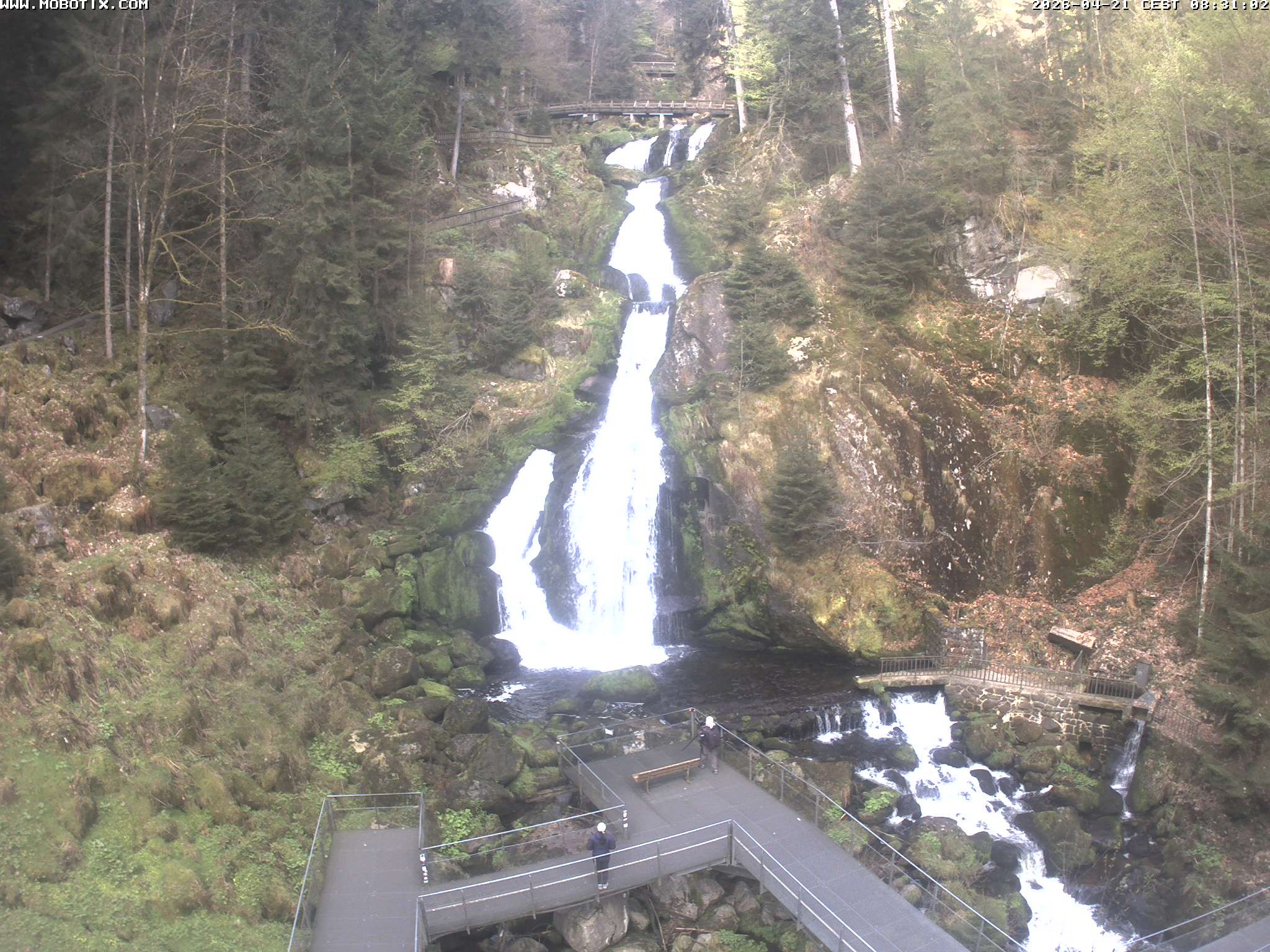 Archiv Foto Webcam Triberg Wasserfälle im Schwarzwald