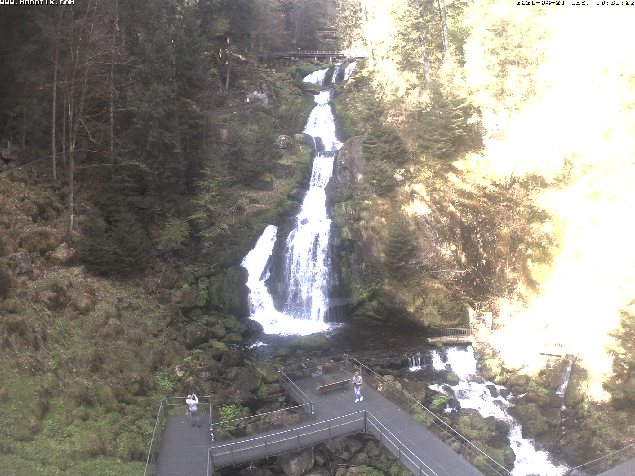 Archiv Foto Webcam Triberg Wasserfälle im Schwarzwald