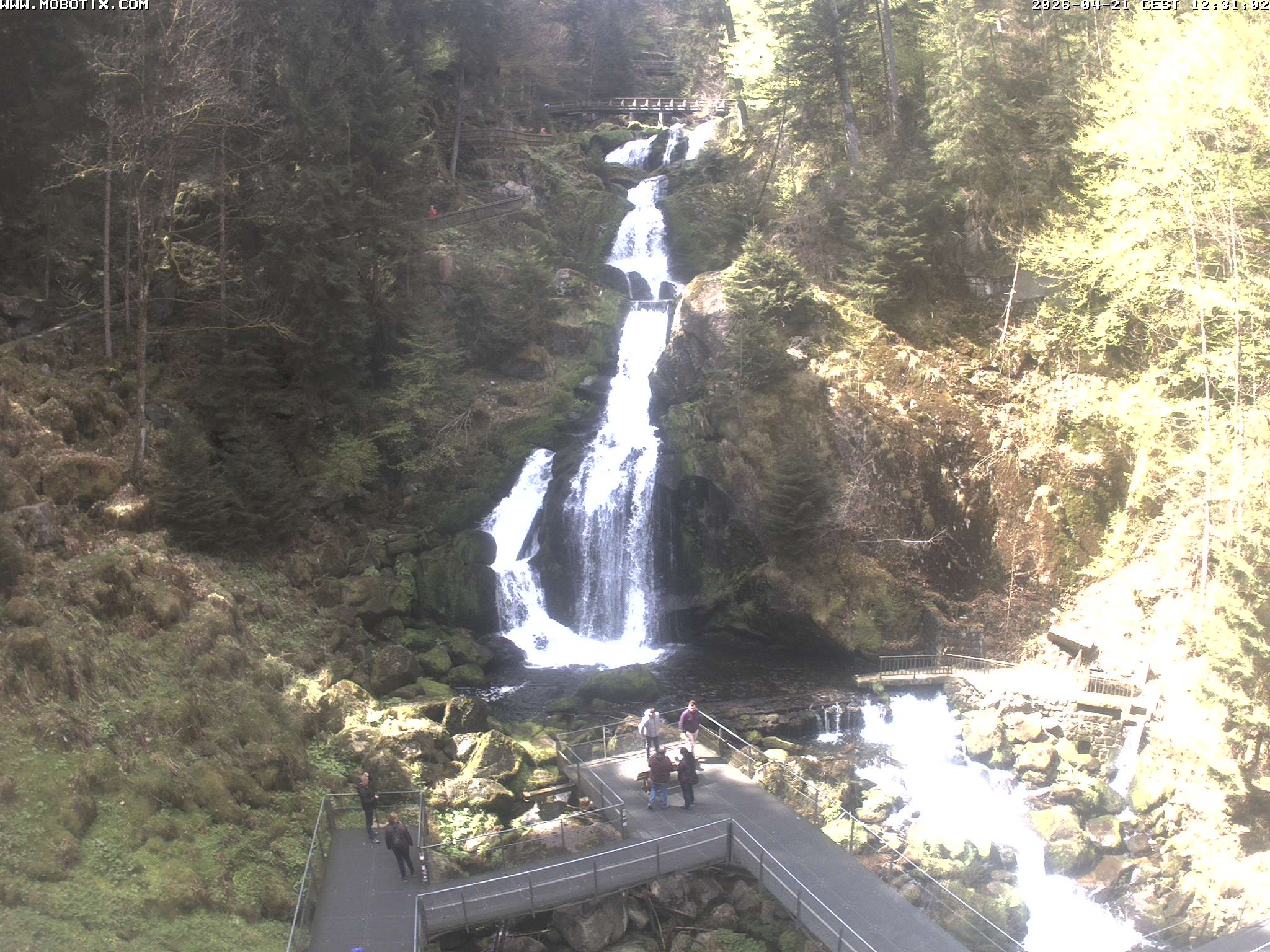 Archiv Foto Webcam Triberg Wasserfälle im Schwarzwald
