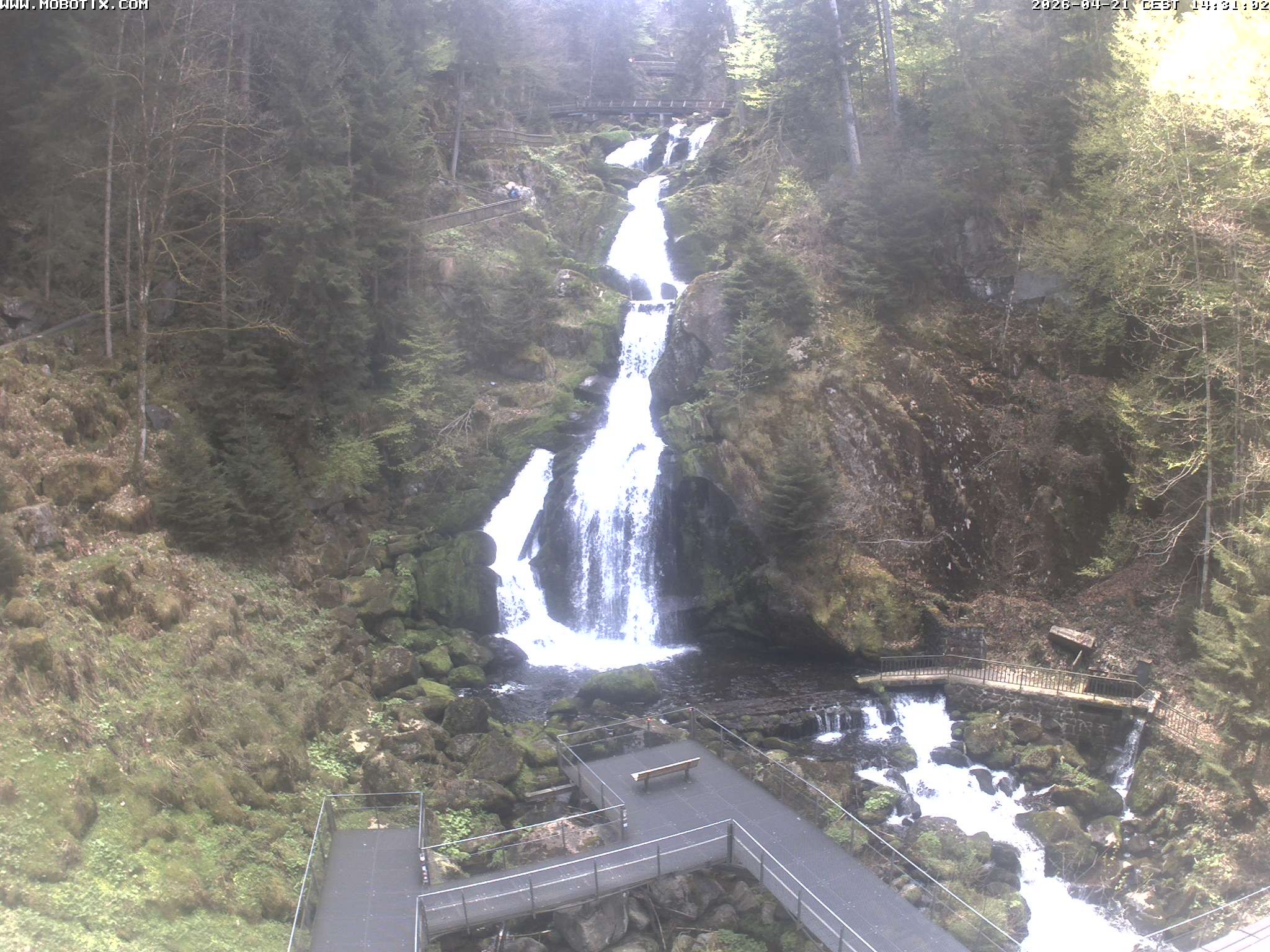 Archiv Foto Webcam Triberg Wasserfälle im Schwarzwald